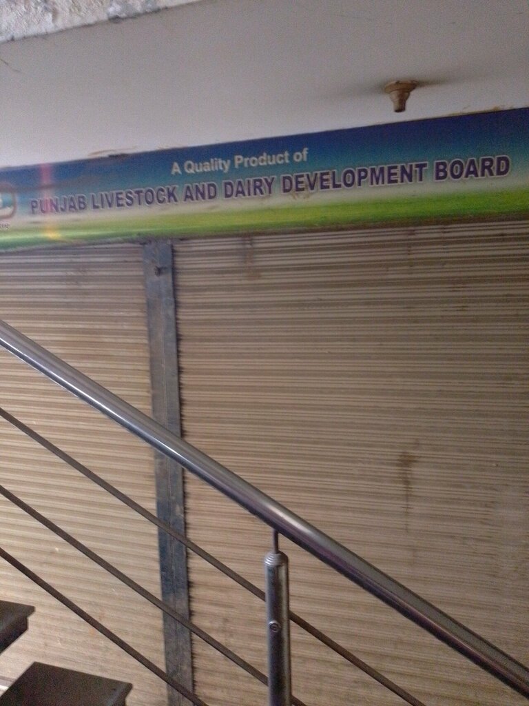 Dairy products wholesale Punjab live stock dairy development brod, Lahore, photo