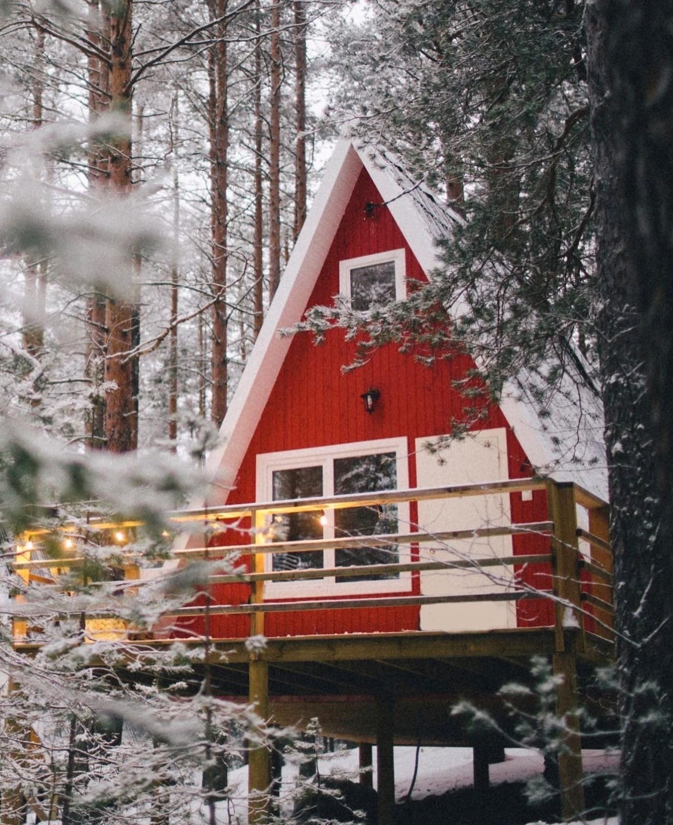 Фото Гринвальд Парк Скандинавия