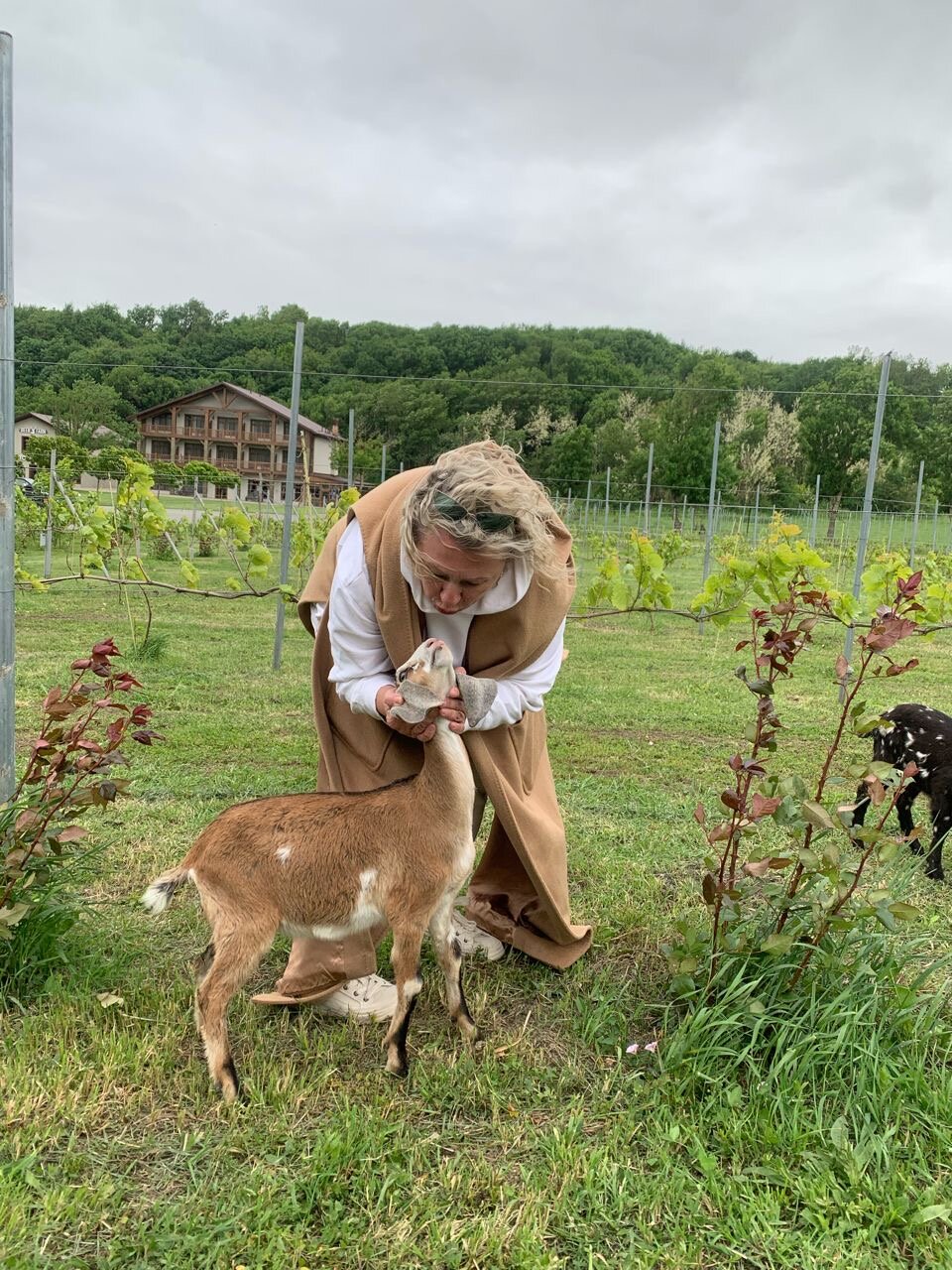 Фото Оленья ферма