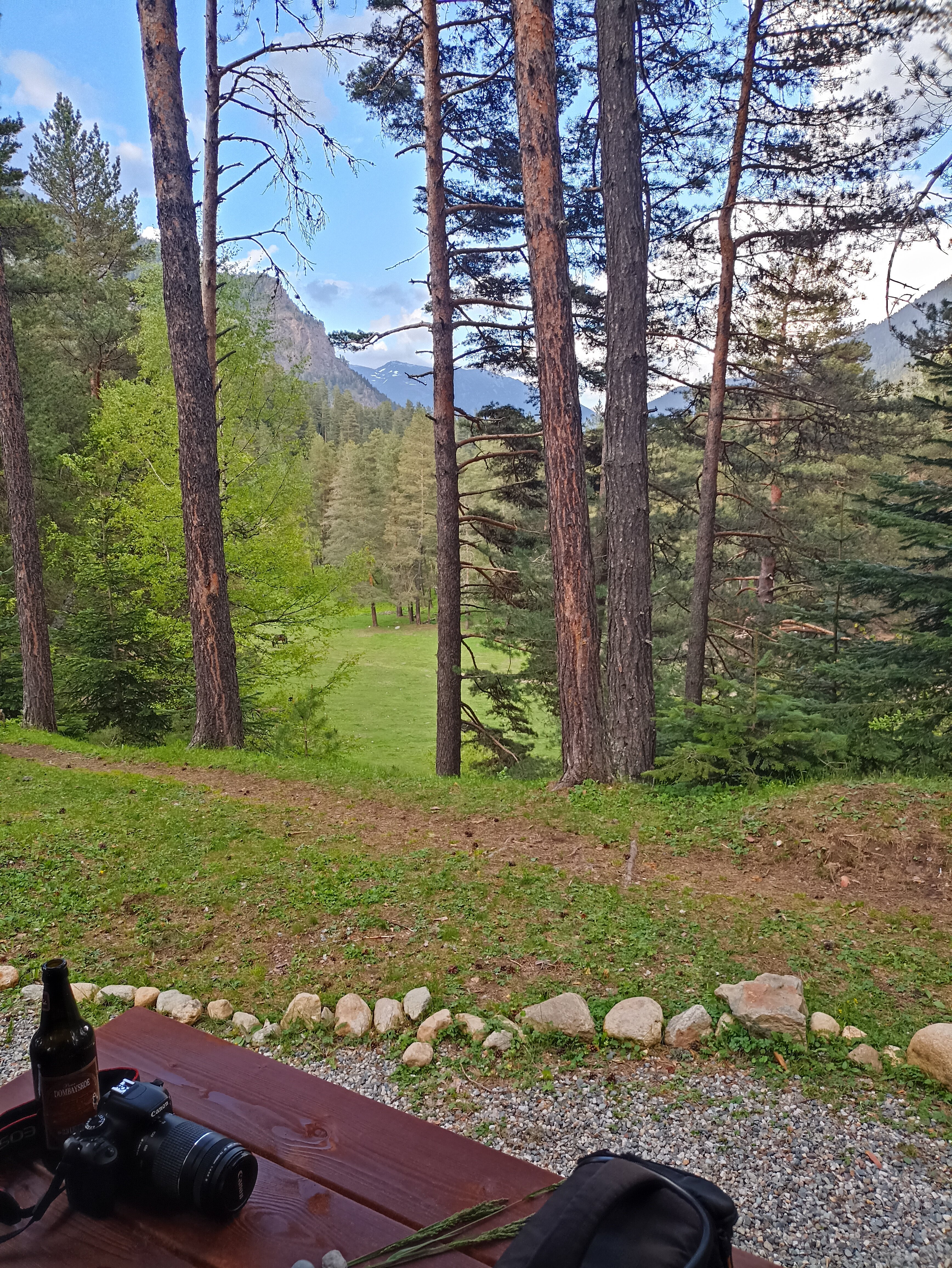 Фото Белый волк