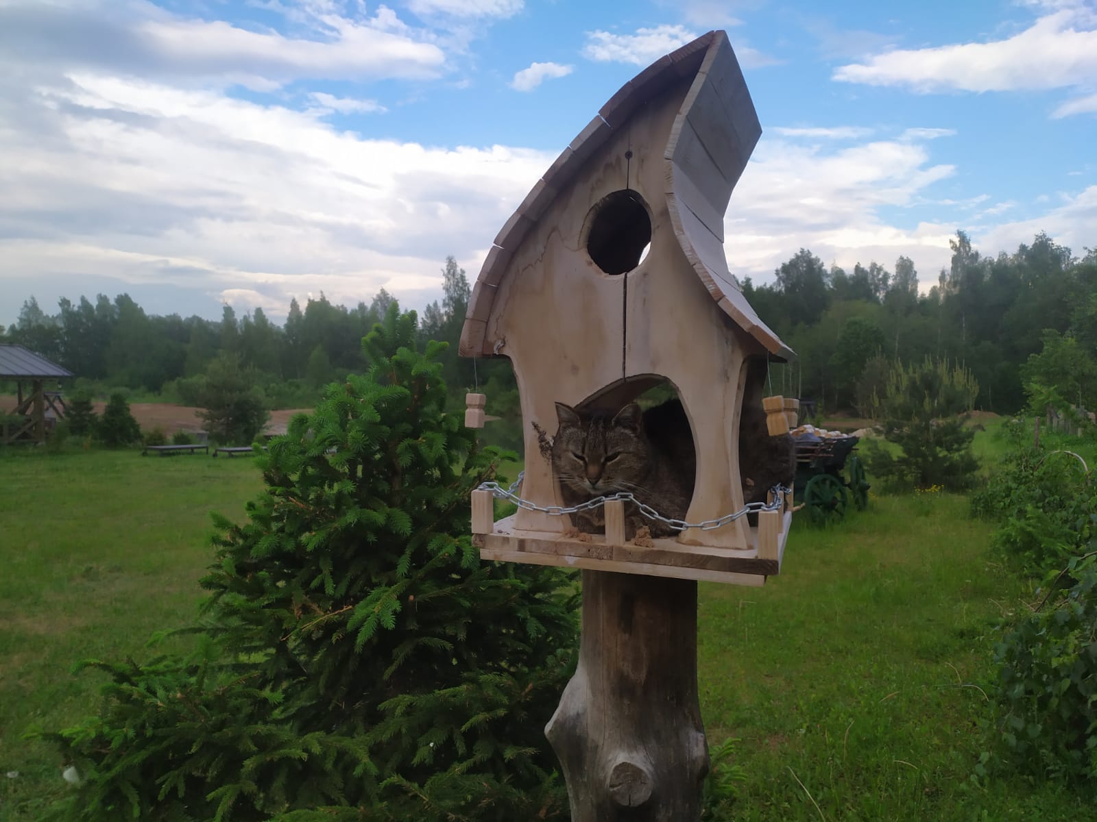 Фото У Лукоморья