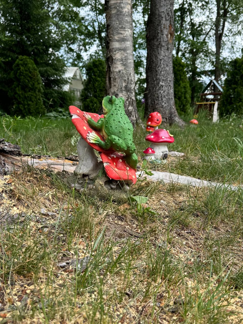 Фото У Янины