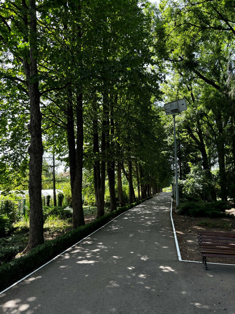 Garden Uchebny botanichesky sad Kubanskogo gosudarstvennogo universiteta, Krasnodar, photo