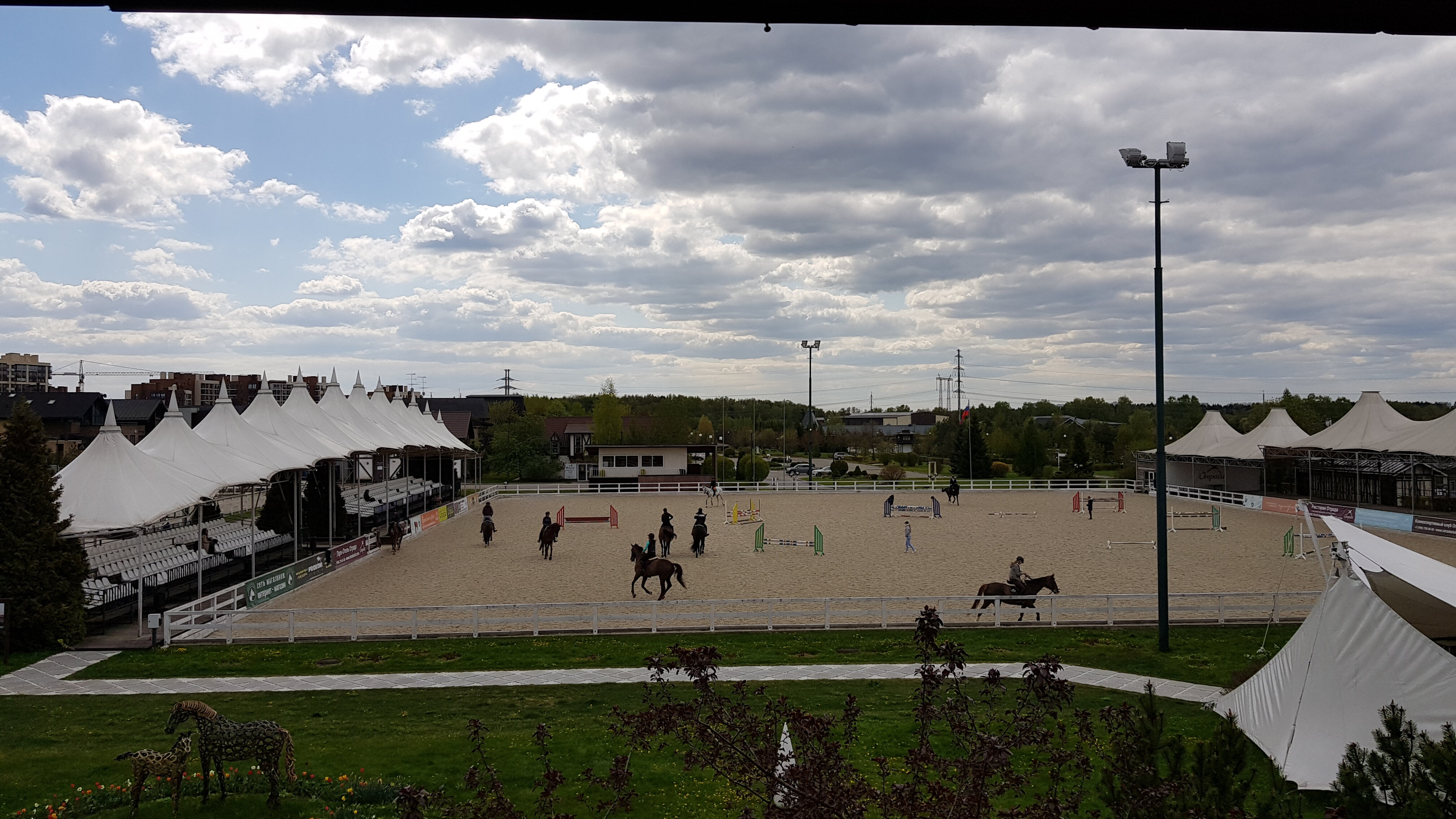 Фото Отрада