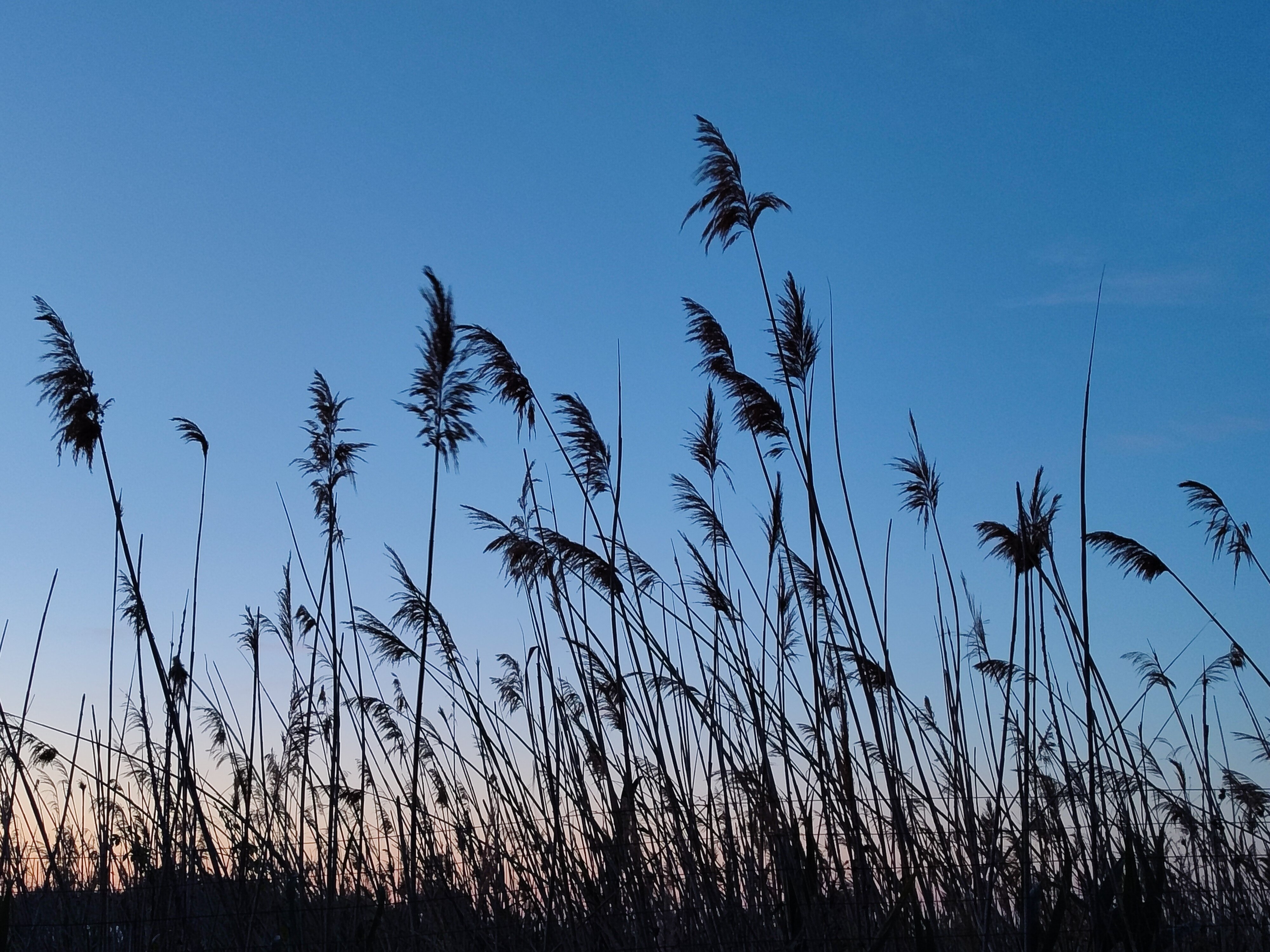 Фото Домики у Пруда