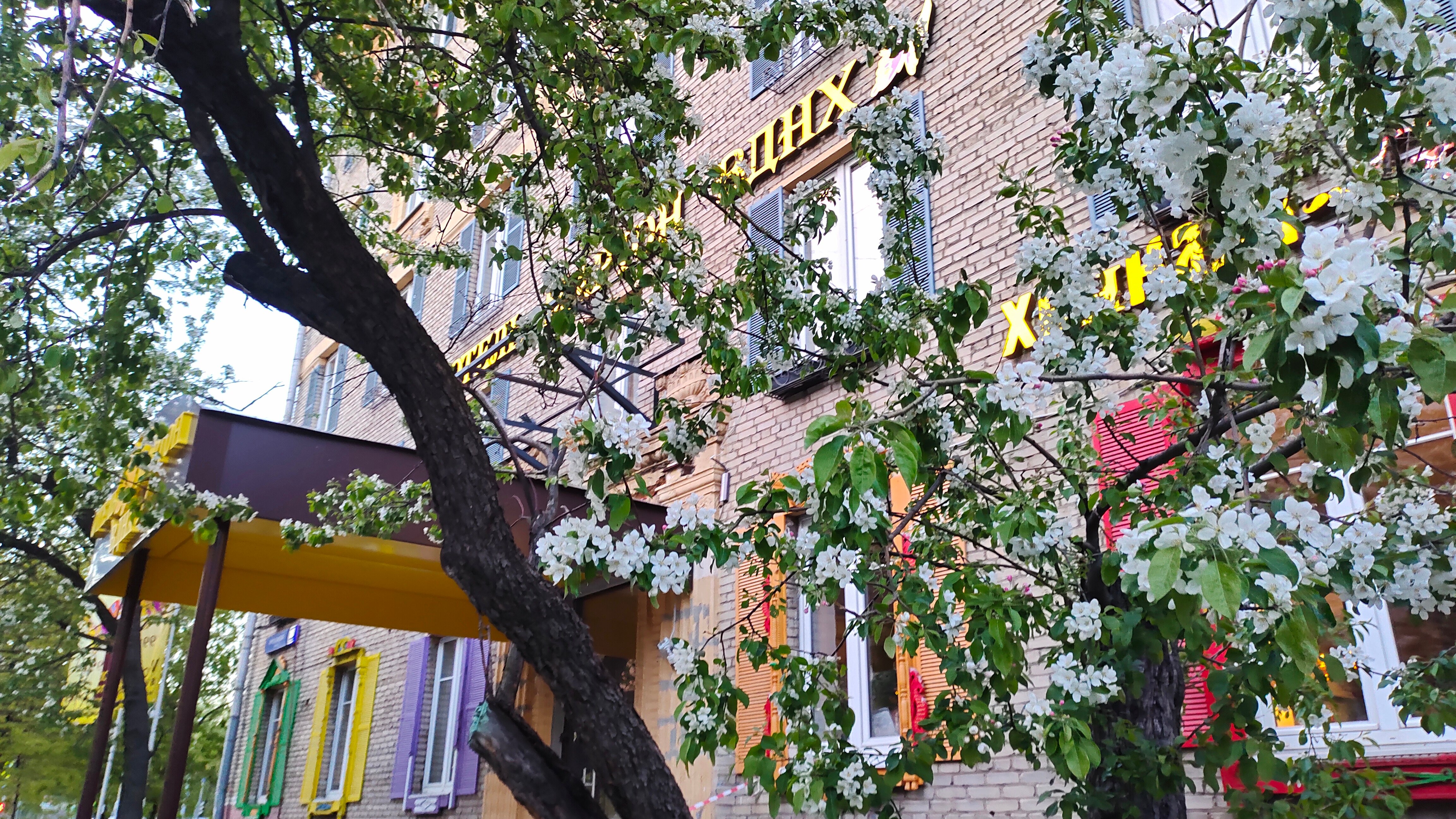 Фото Мартон ВДНХ