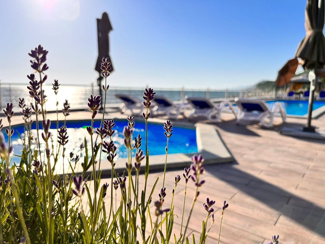 Фото Черный кот