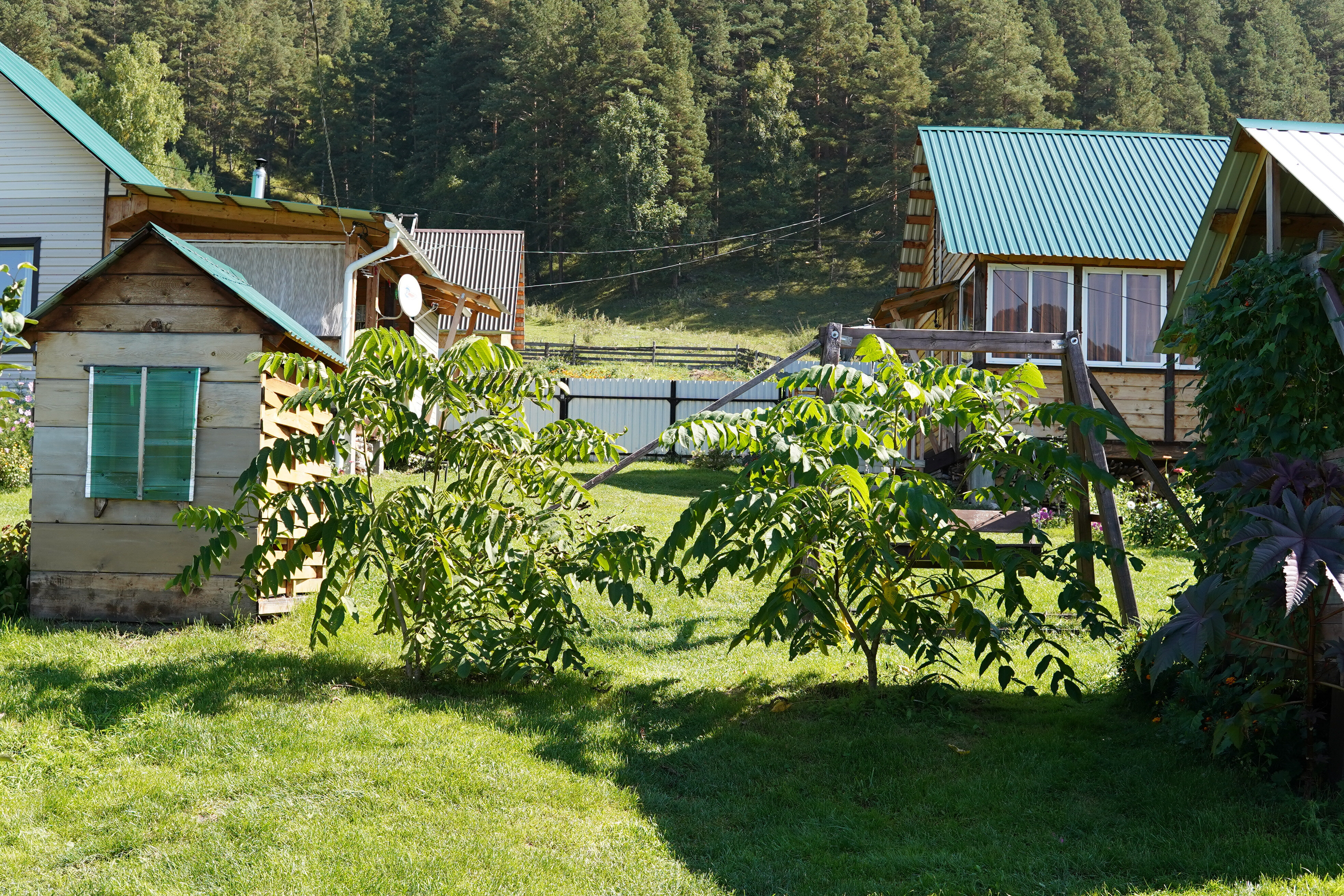 Фото Ягодка