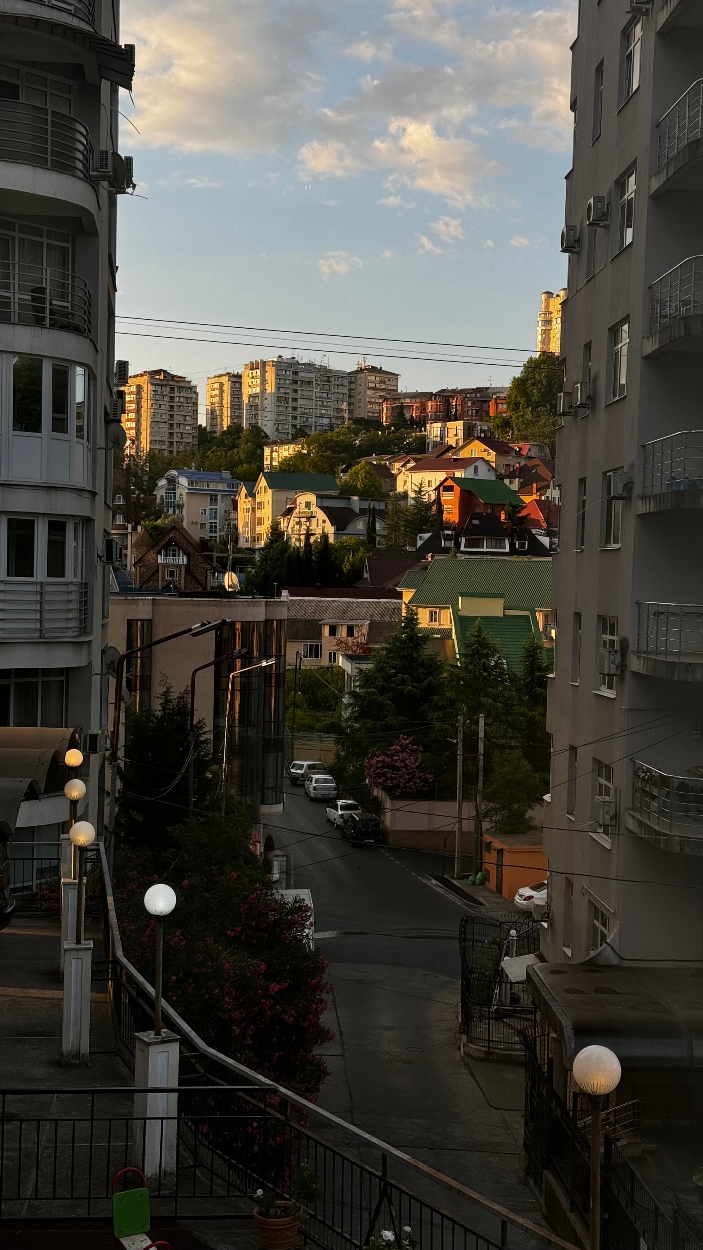 Фото Панда на Бамбуковой