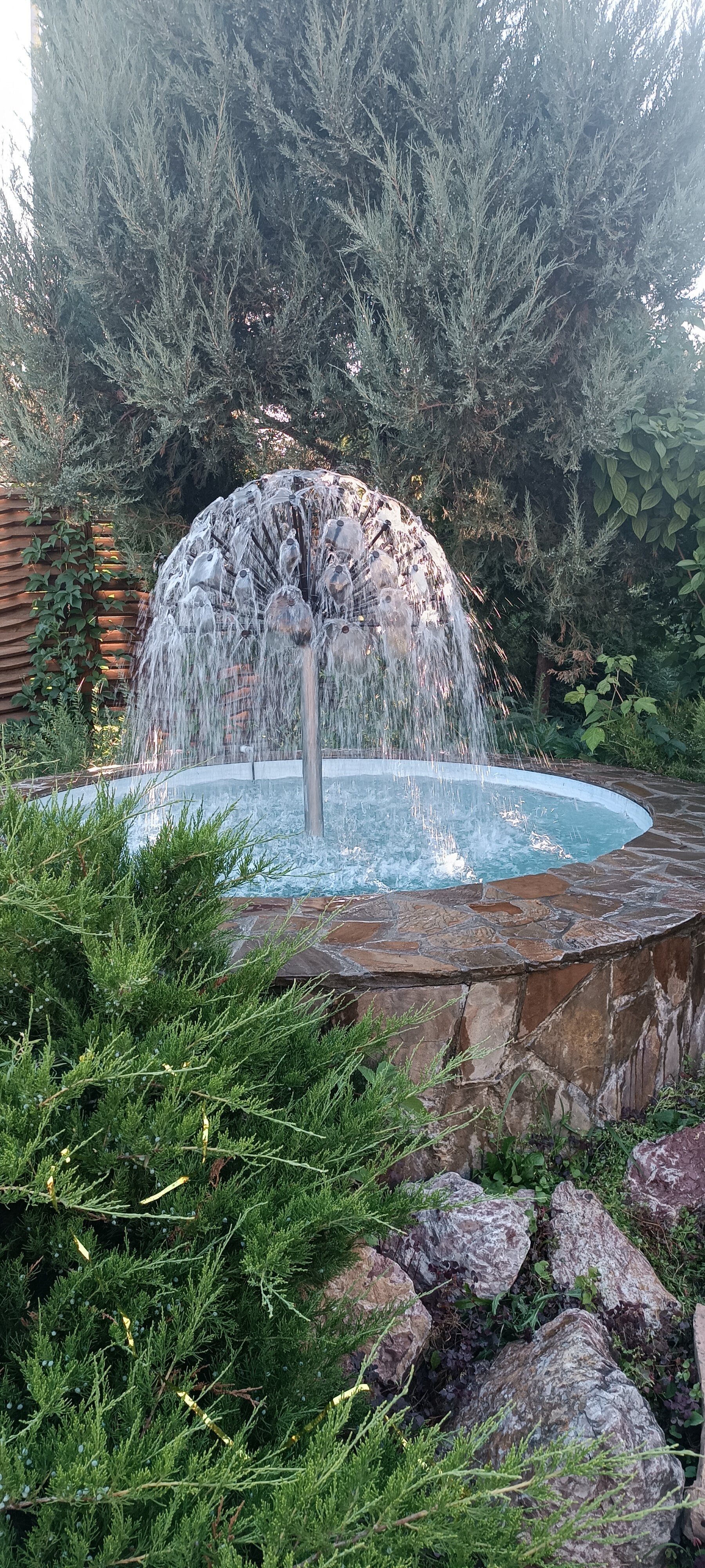 Фото Калипсо