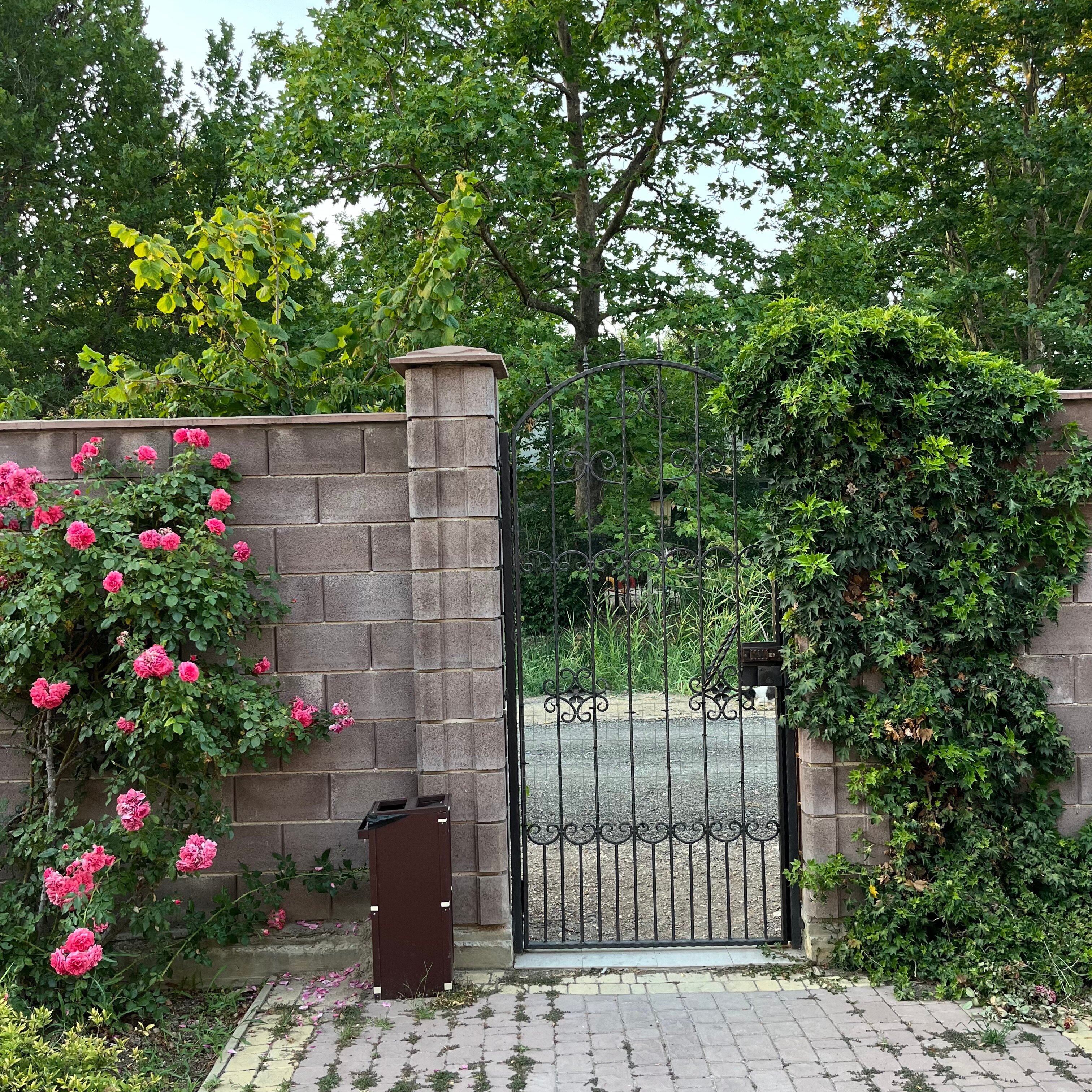 Фото Шато Блан