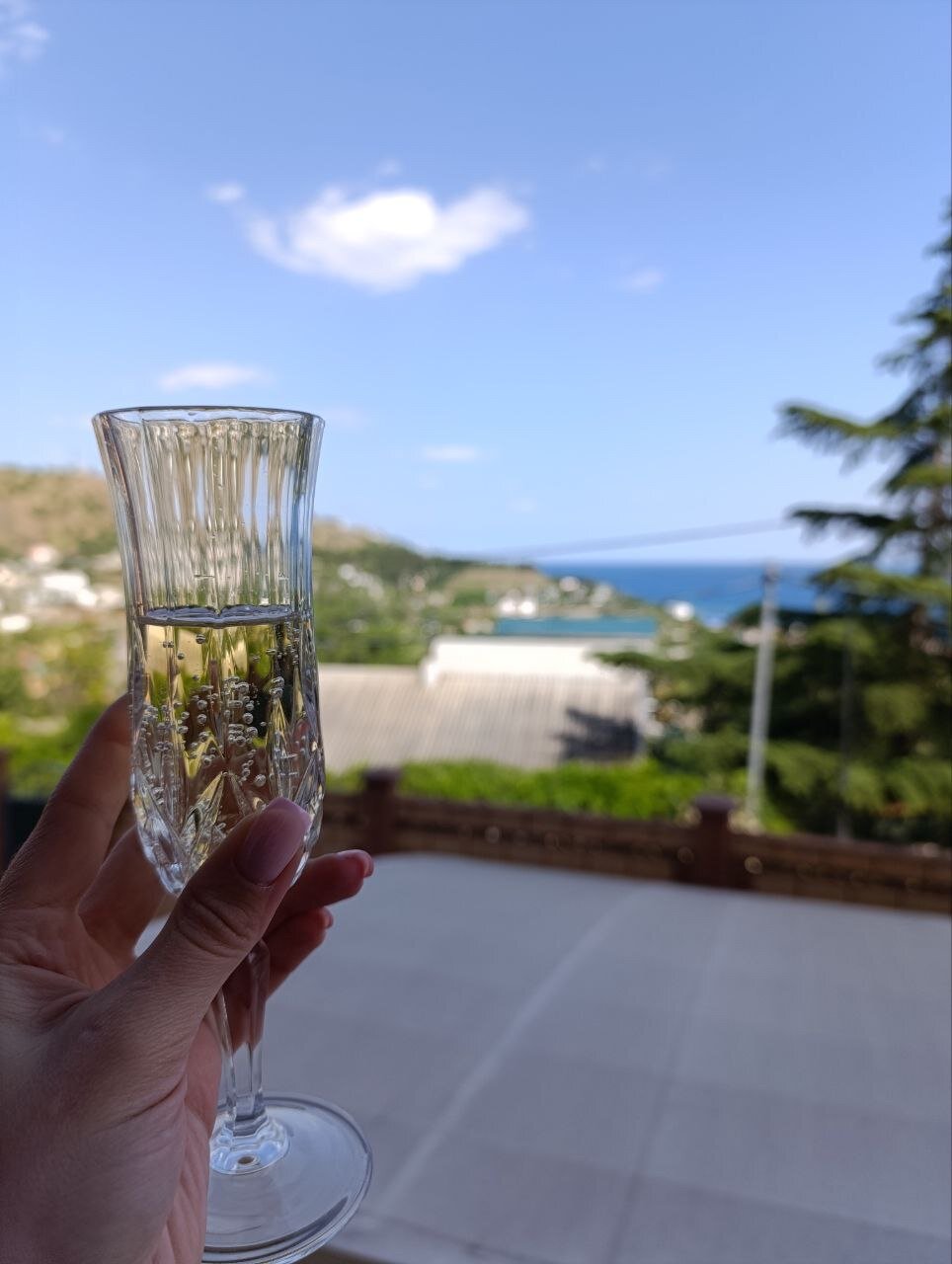 Фото Дельфин