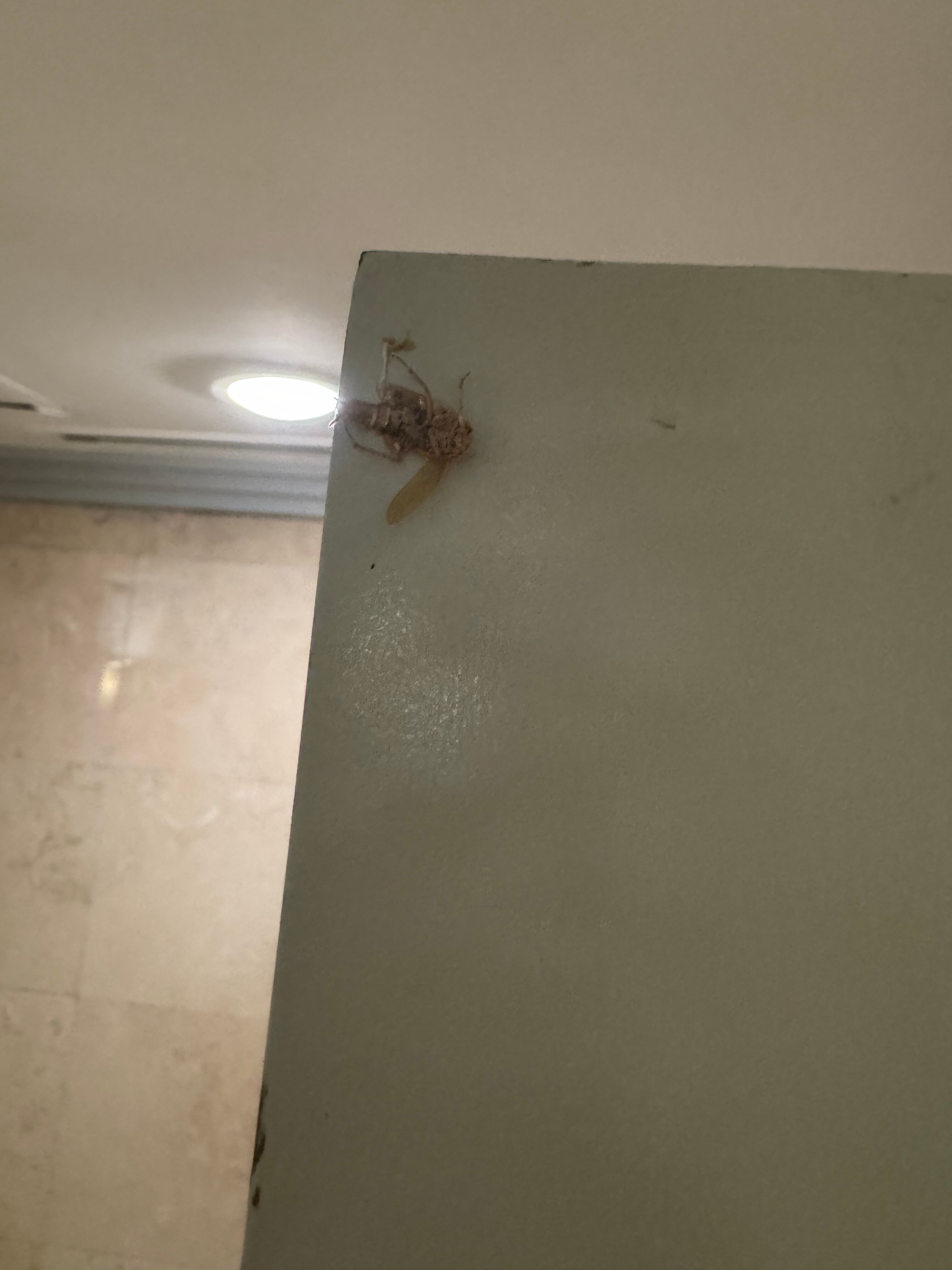 Фото Wyndham Casablanca Jakarta