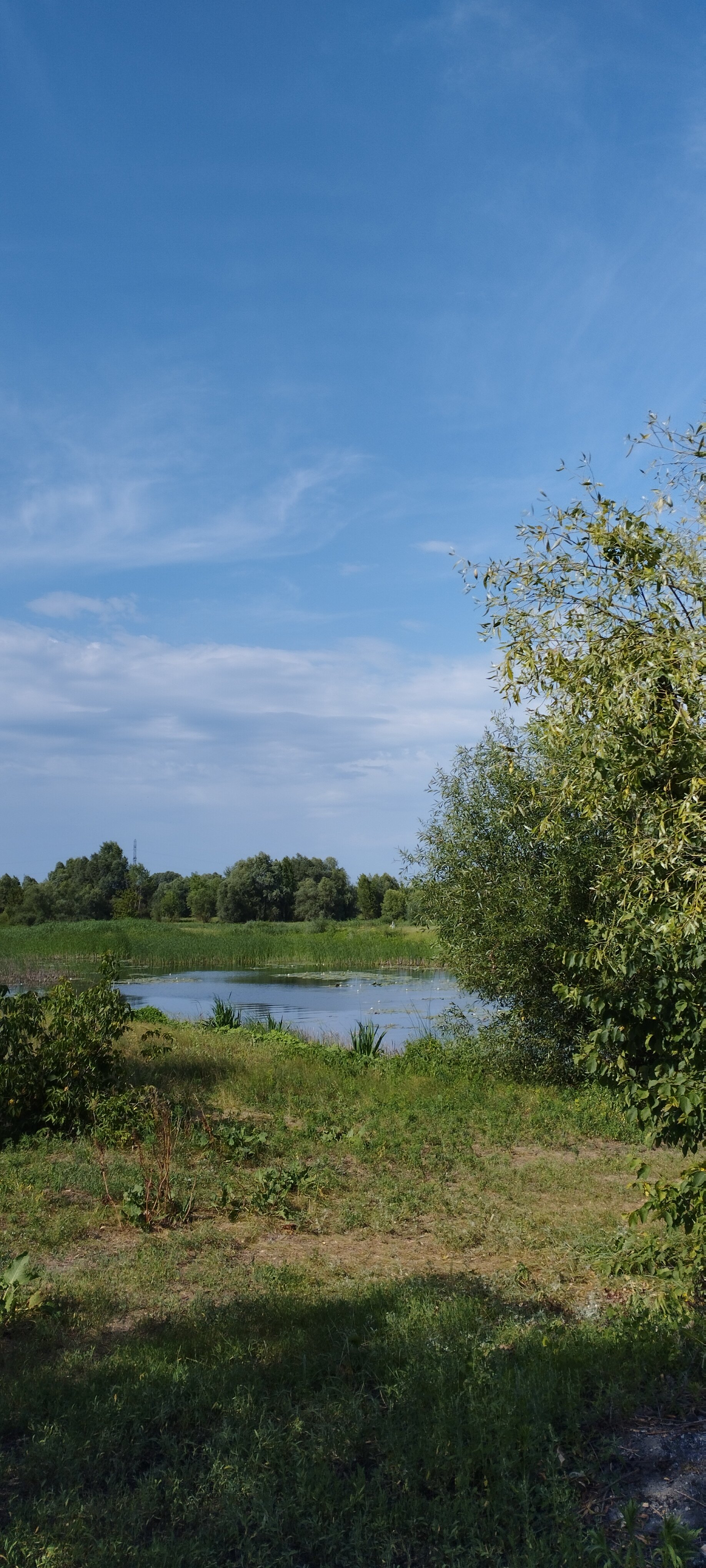 Фото Благодать