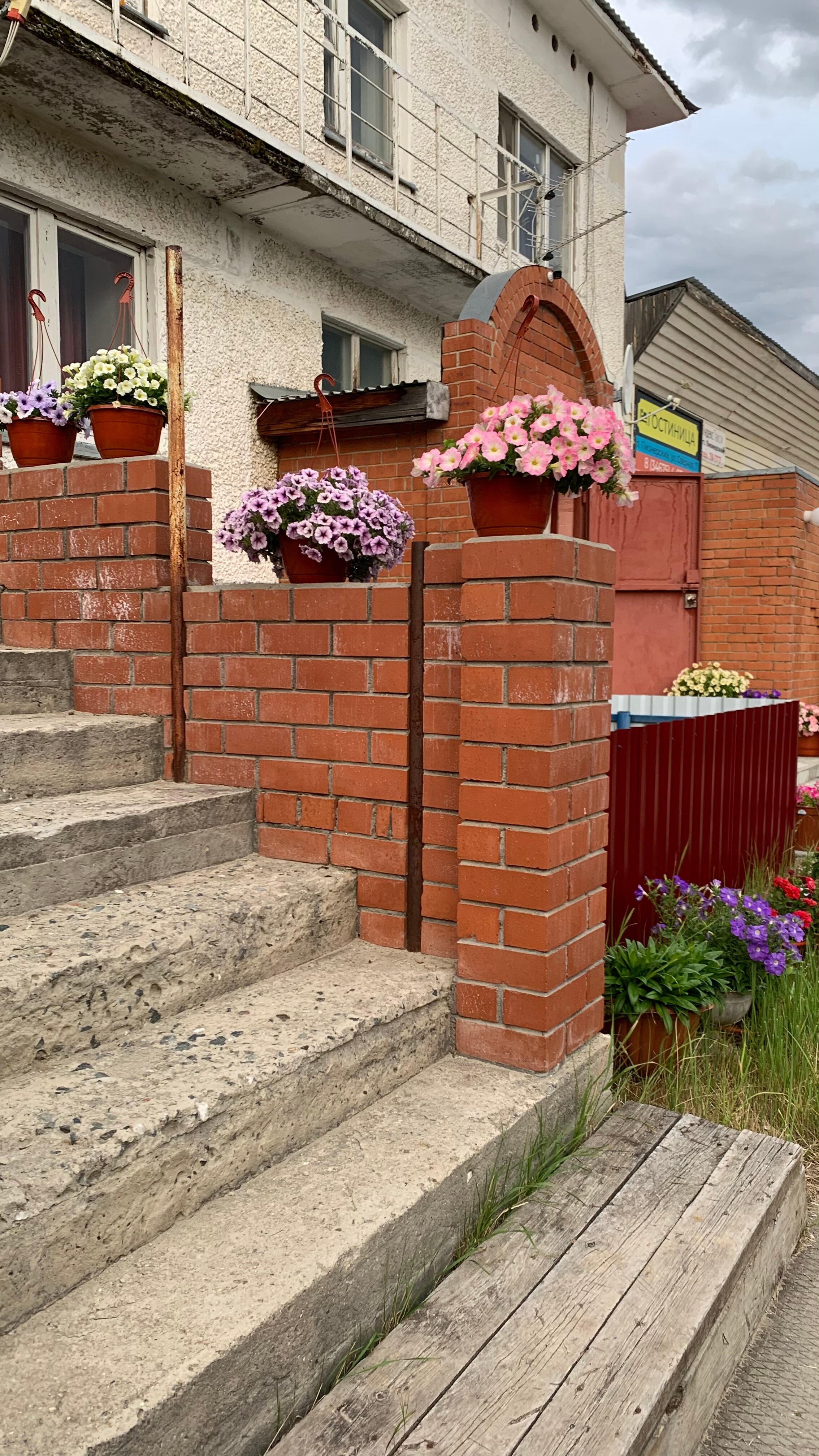 Фото Сладкий сон