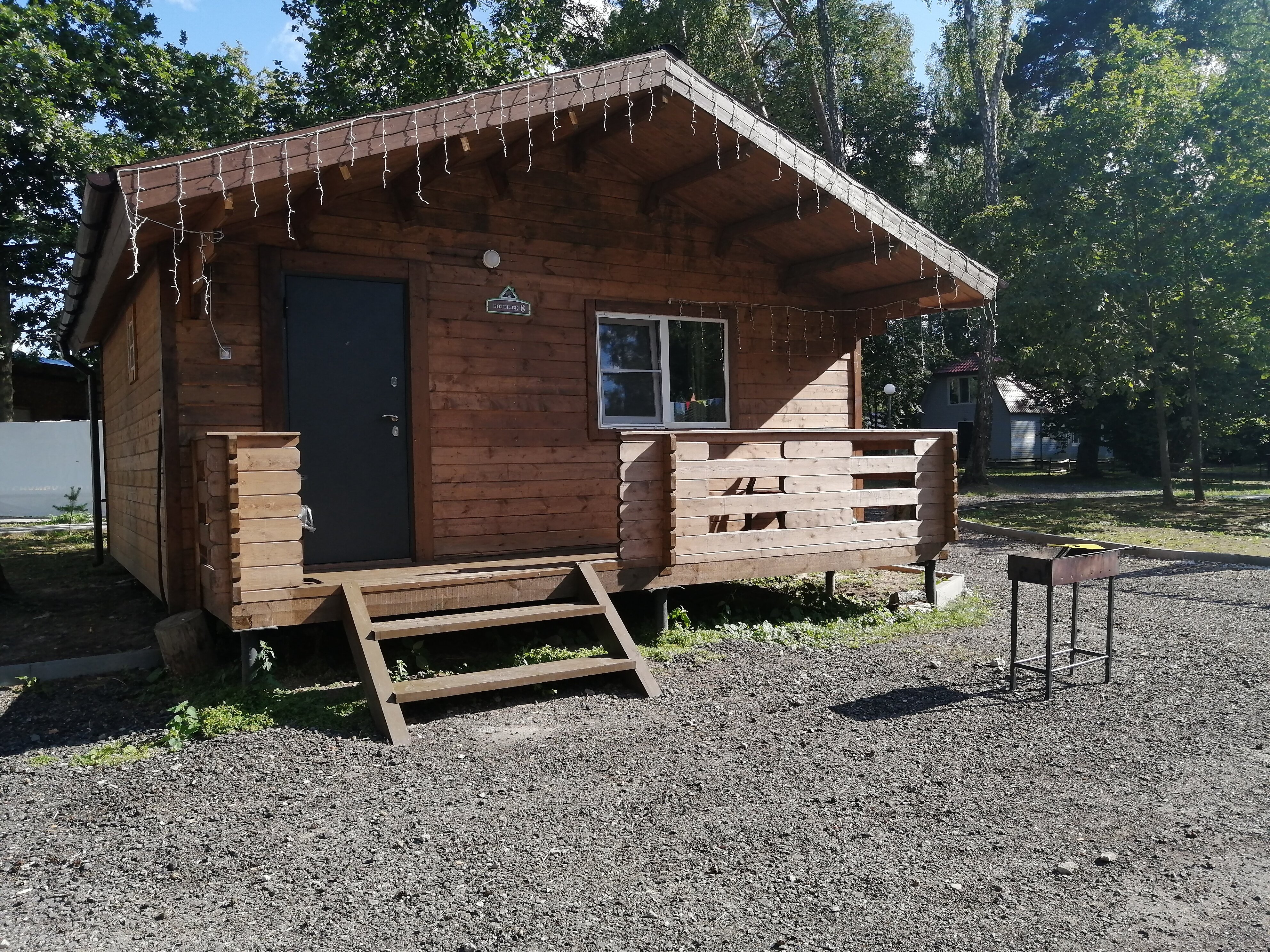 Фото Подберёзовик