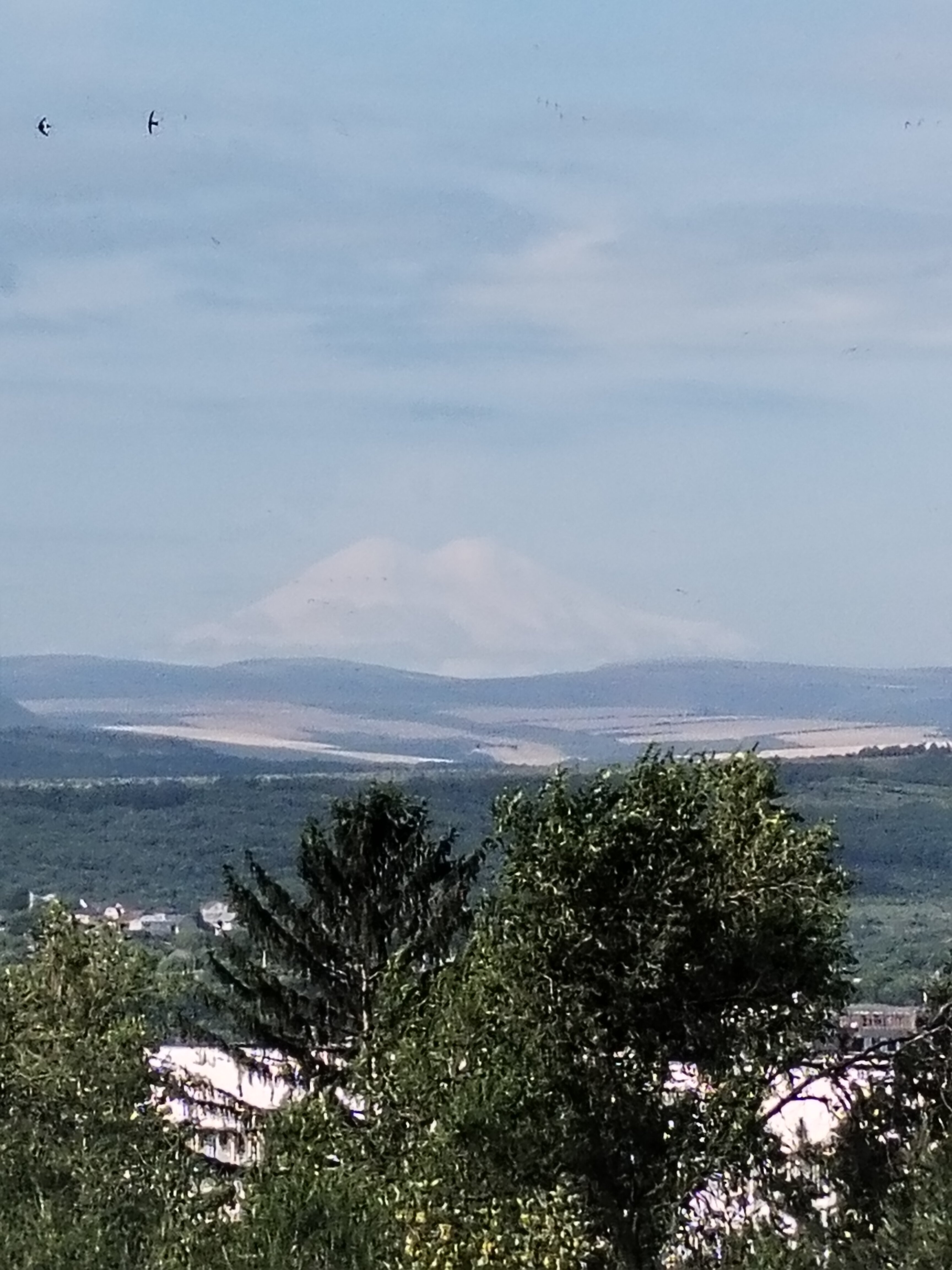 Фото Лакколит 993