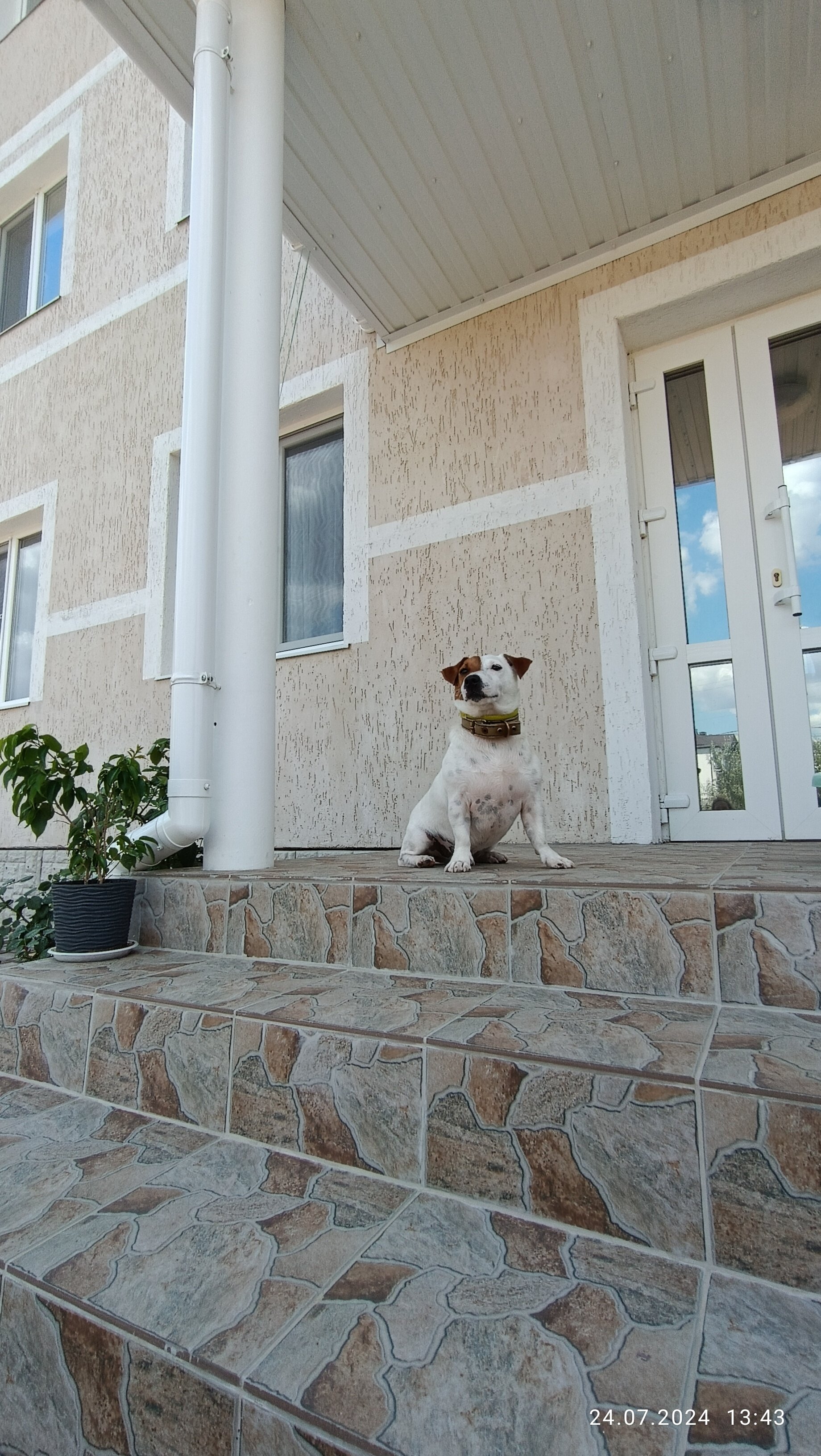 Фото Селена