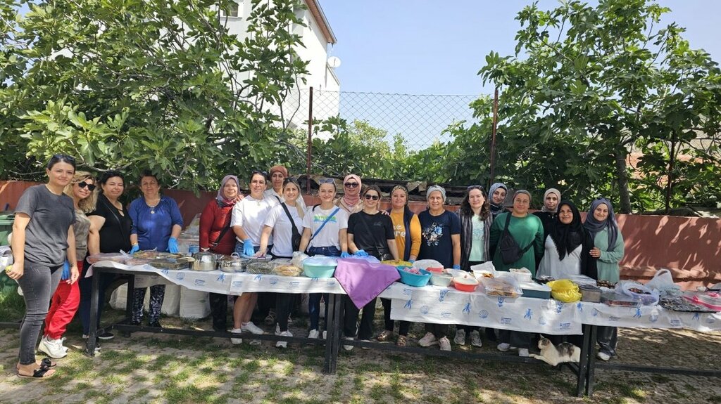 Primary school Helvaci Primary School, Aliaga, photo