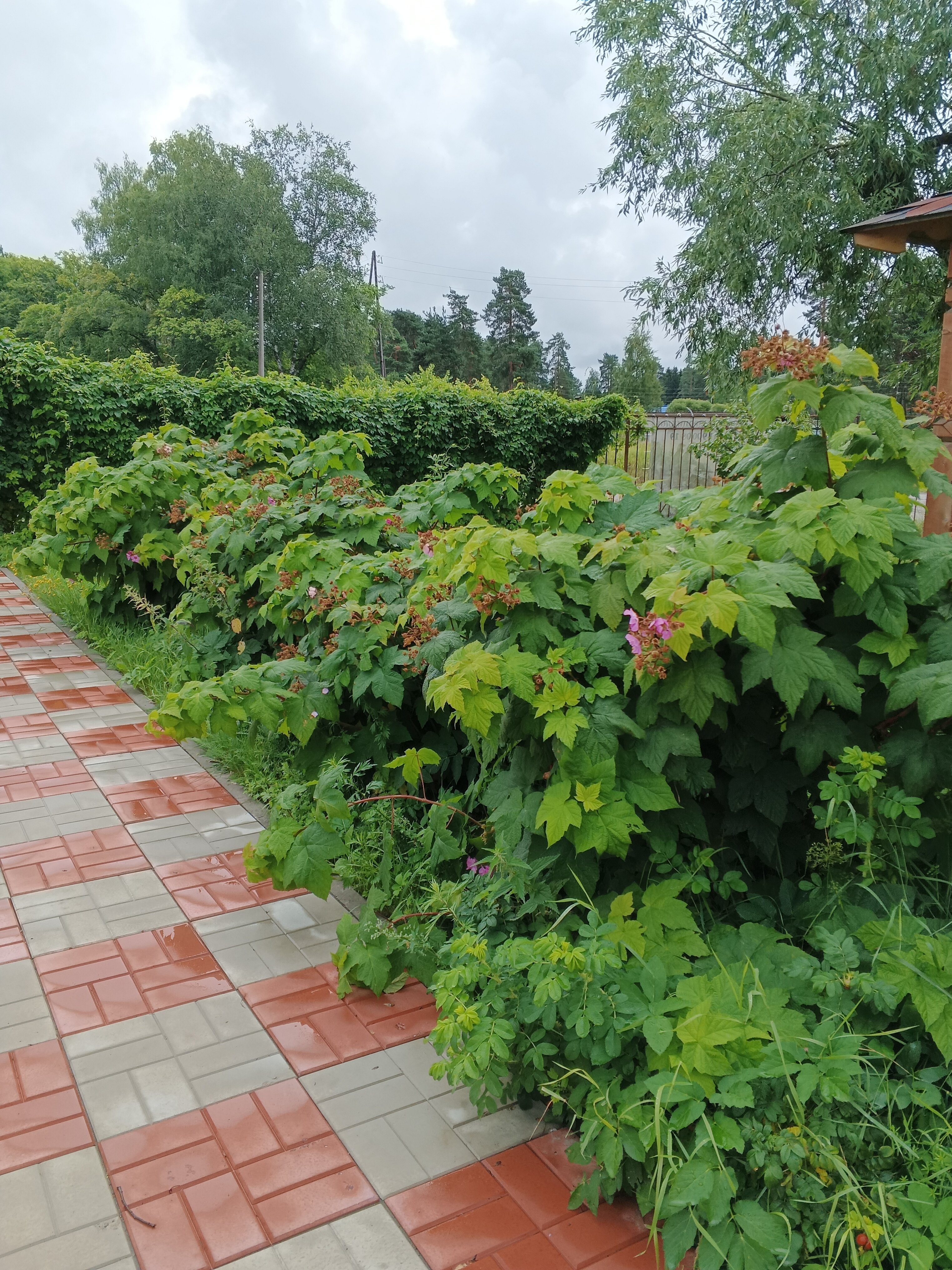 Фото Гостевой дом Ихала