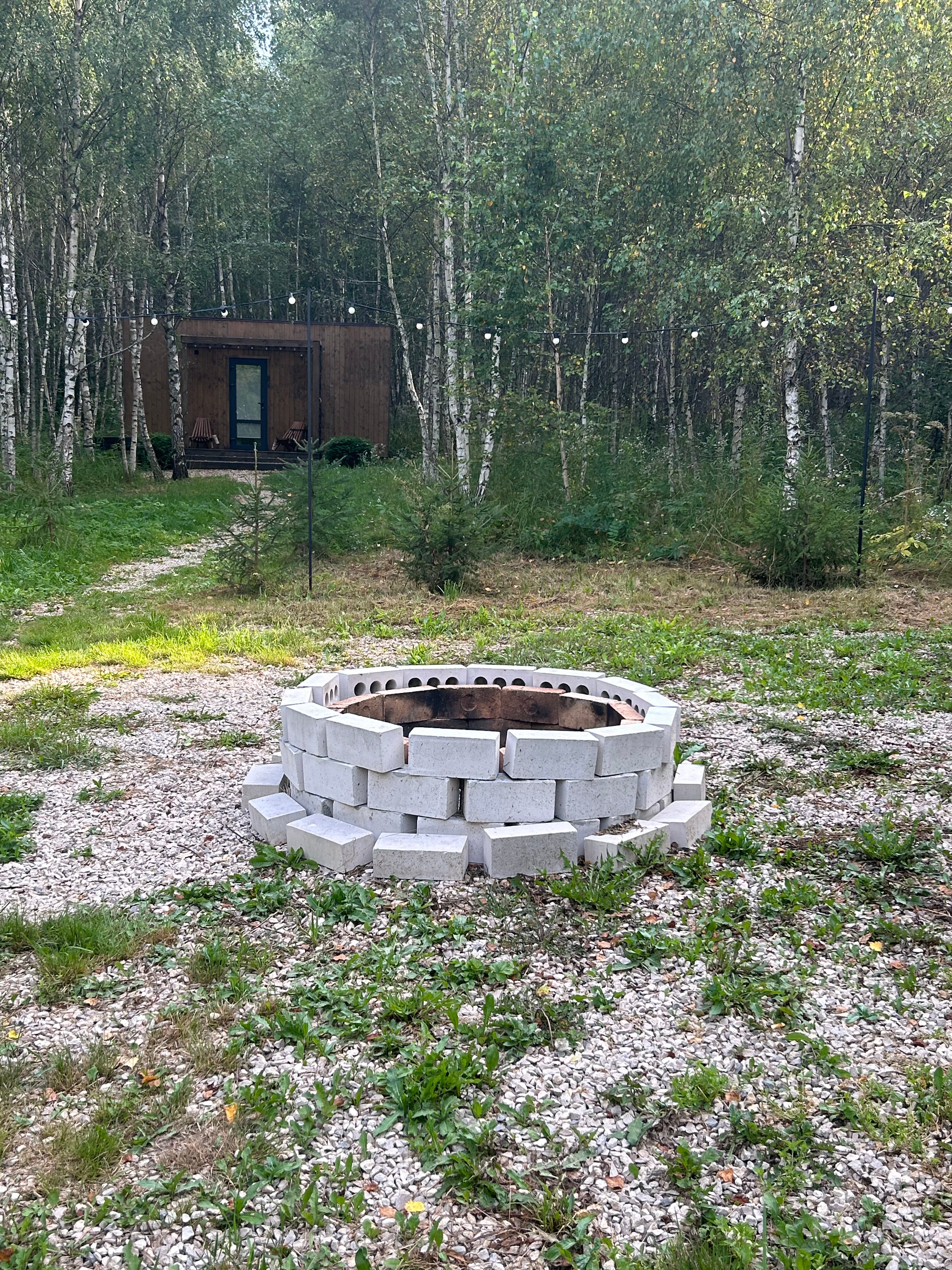 Фото Два зайца