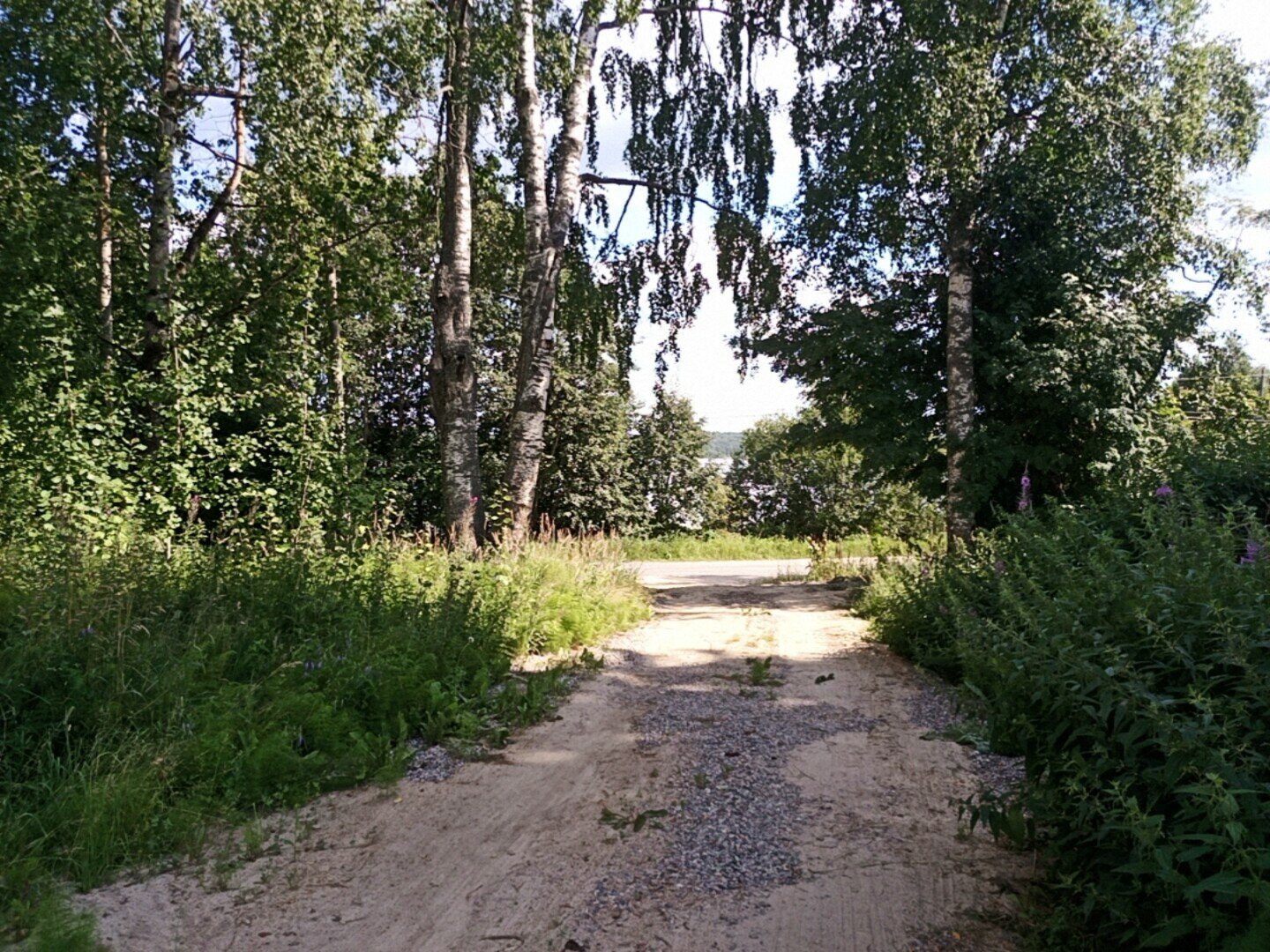 Фото Вегвизир