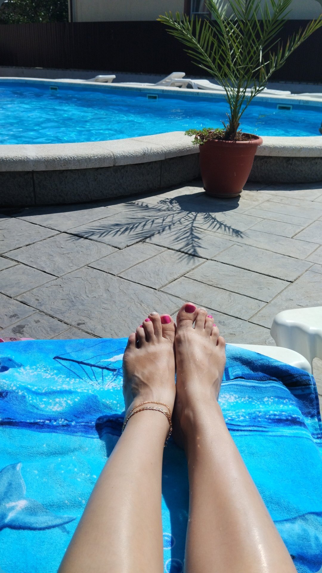 Фото Селини