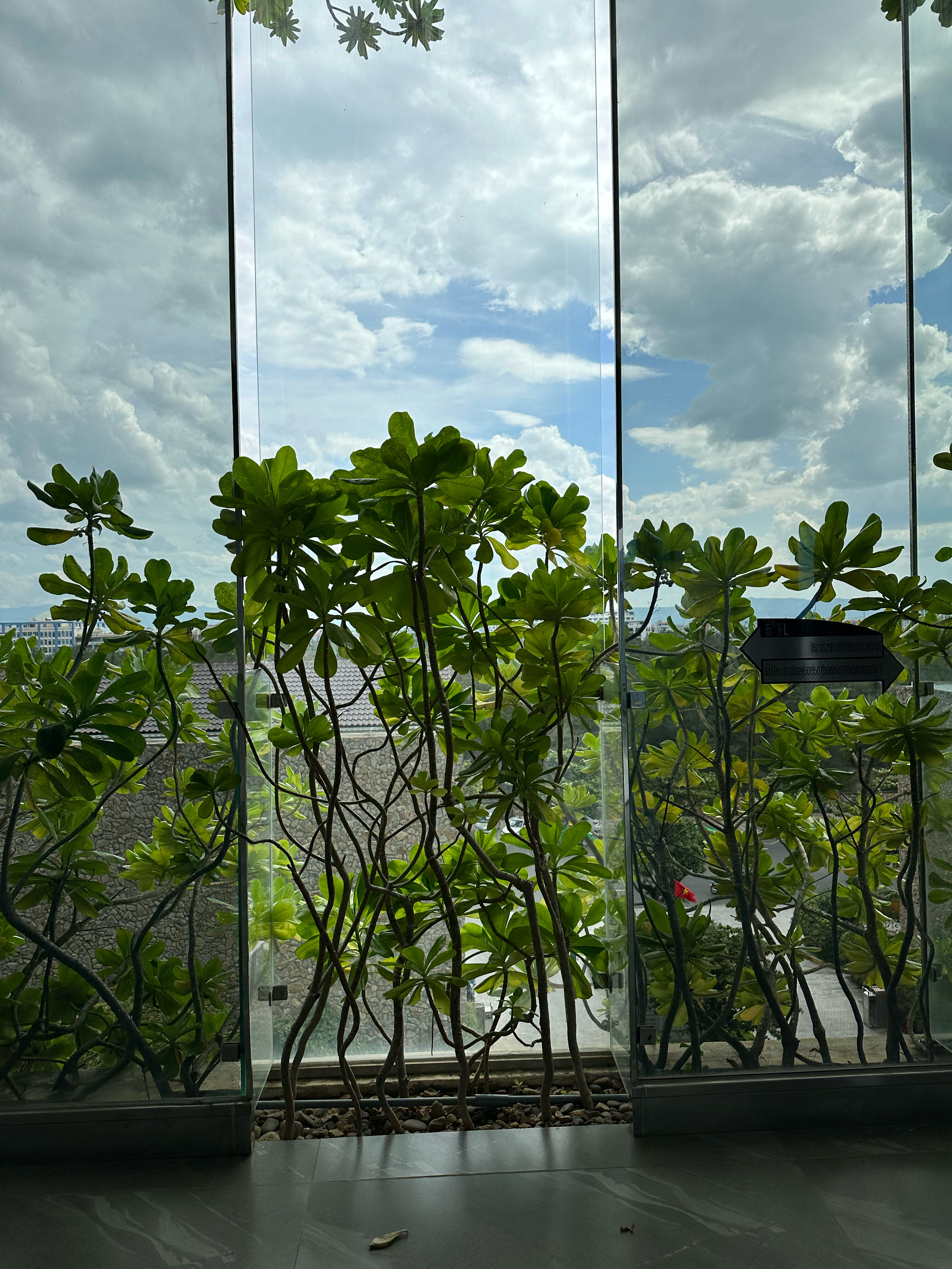 Фото Rosa Alba Resort Tuy Hoa