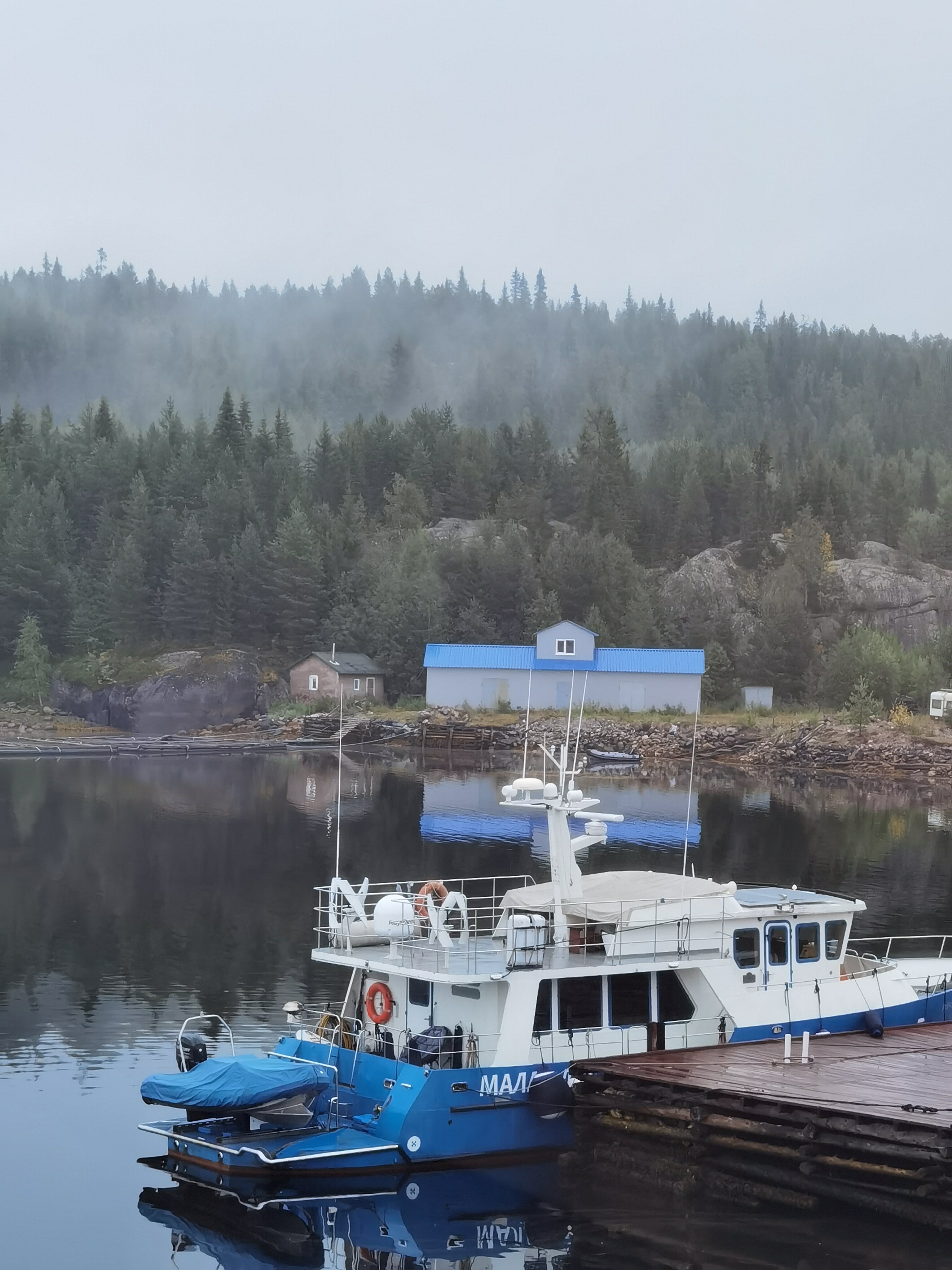 Фото Нереис