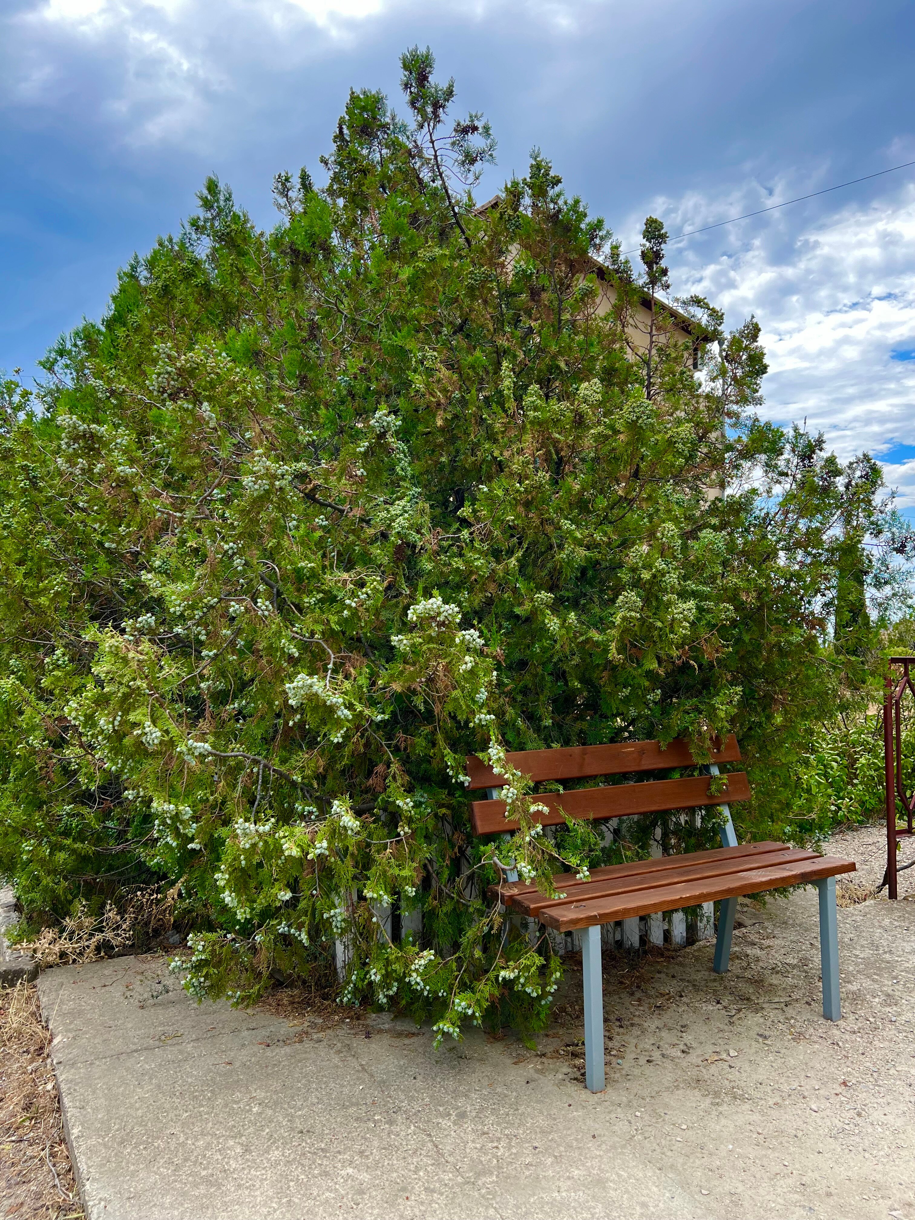 Фото Эко Дача Вилла Эмма