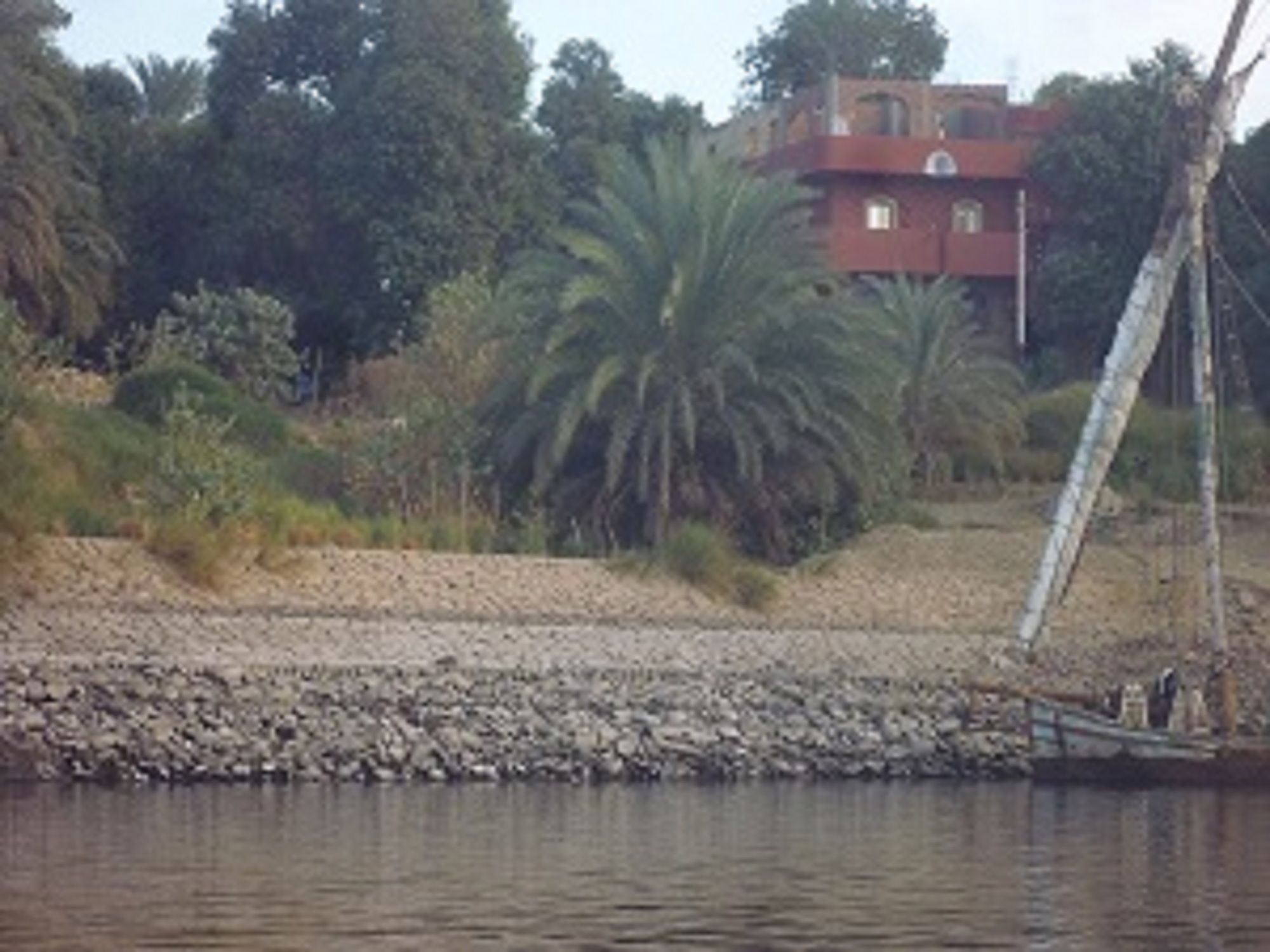 Фото El Prince Guest House