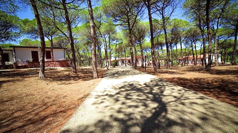Фото Villaggio dei Pini