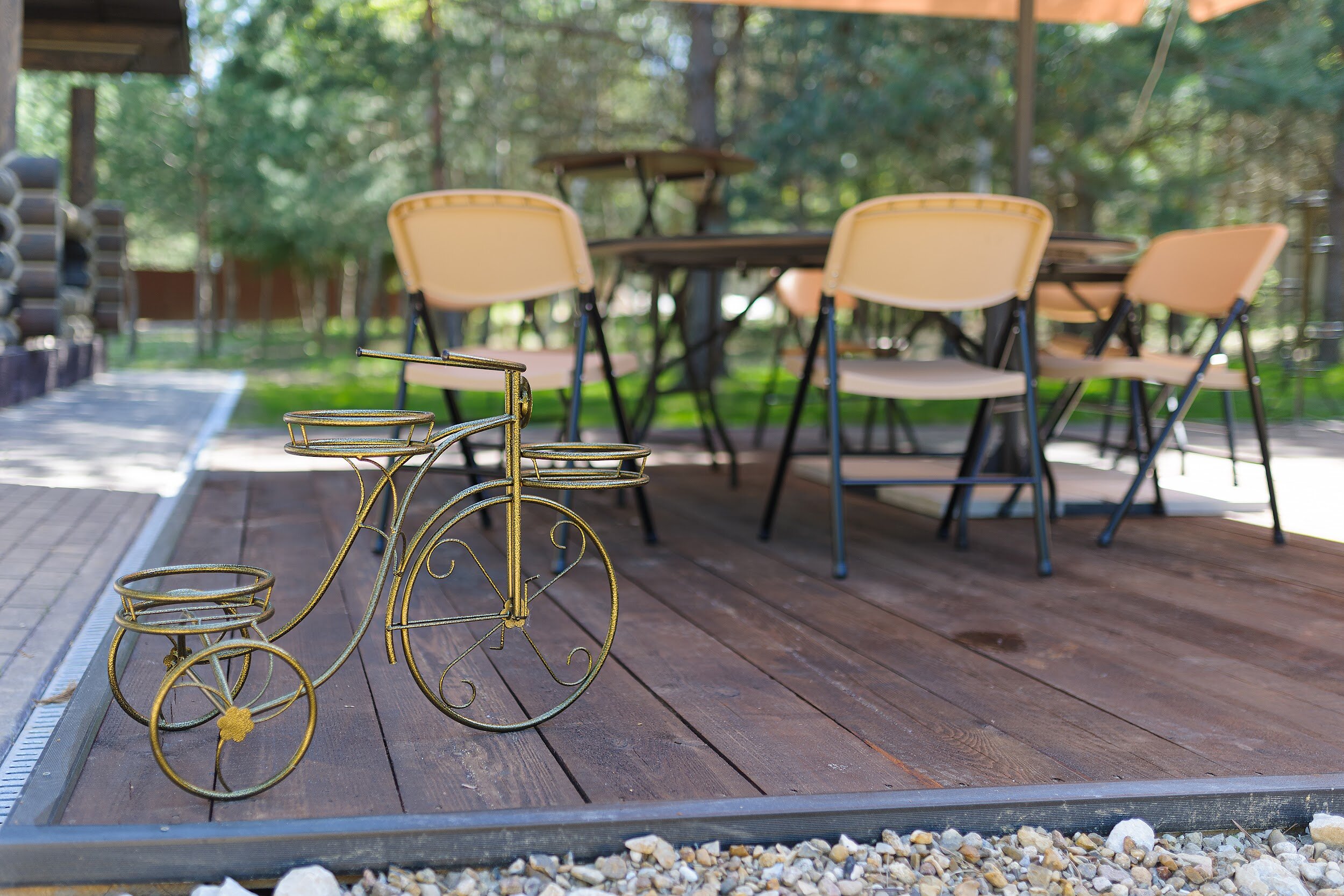 Фото Заповедное