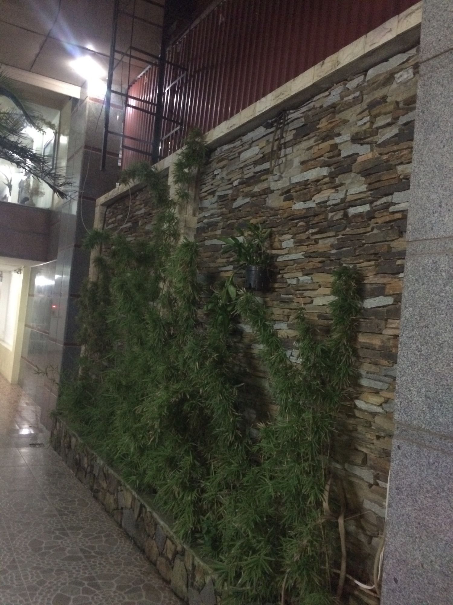 Фото Chio Hotel and Apartment