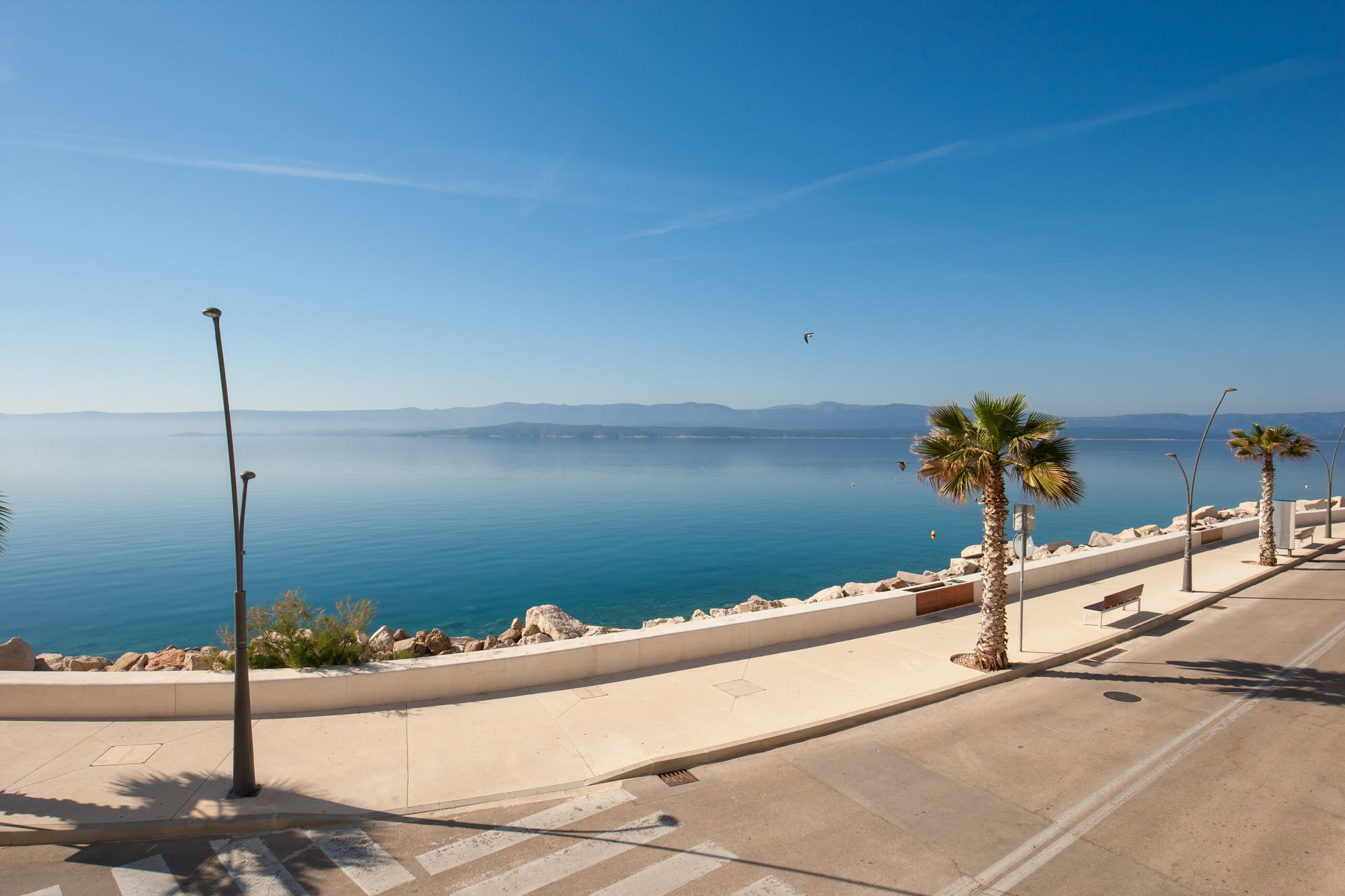 Фото 97908064169