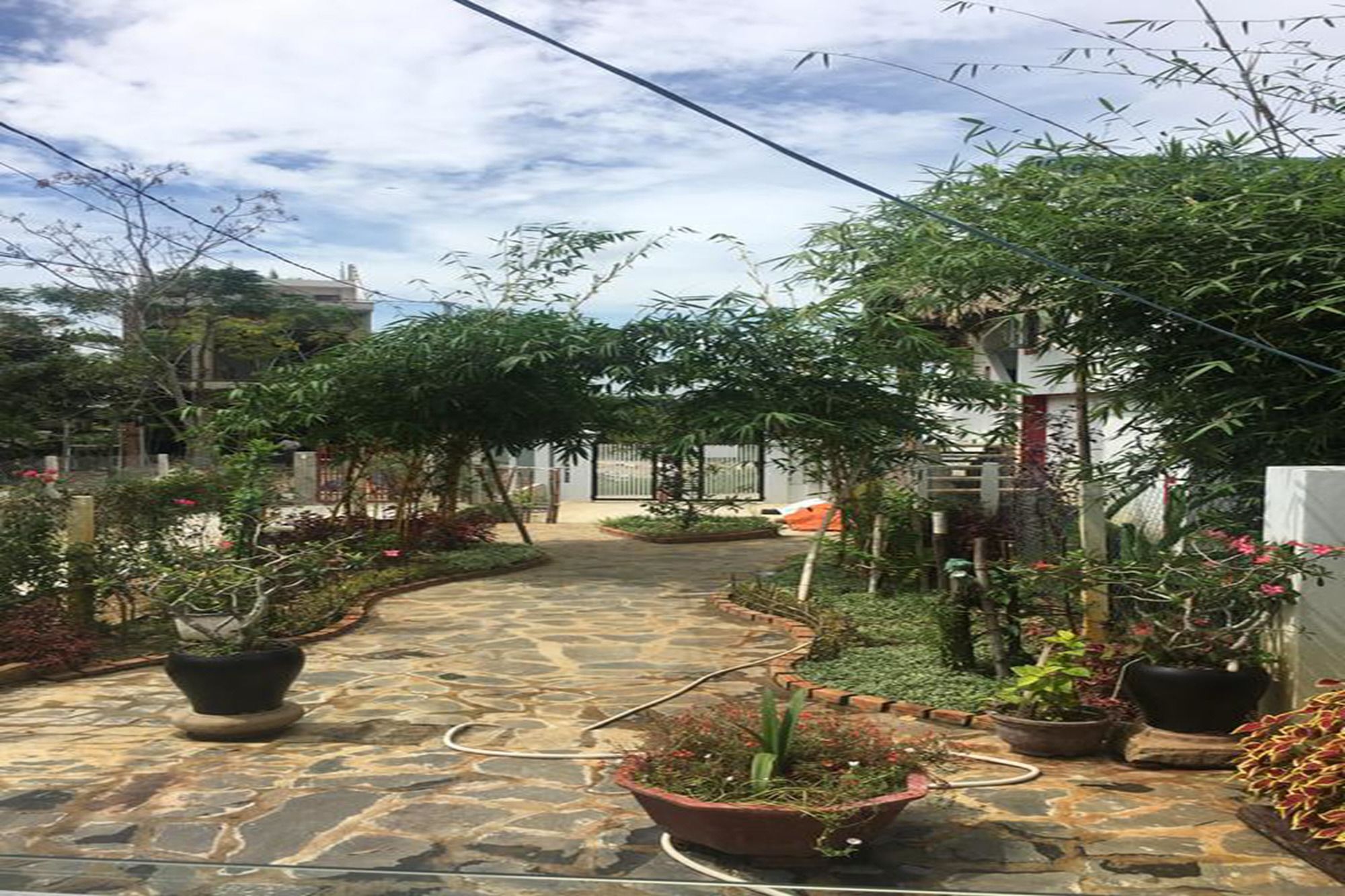 Фото La Terrazza