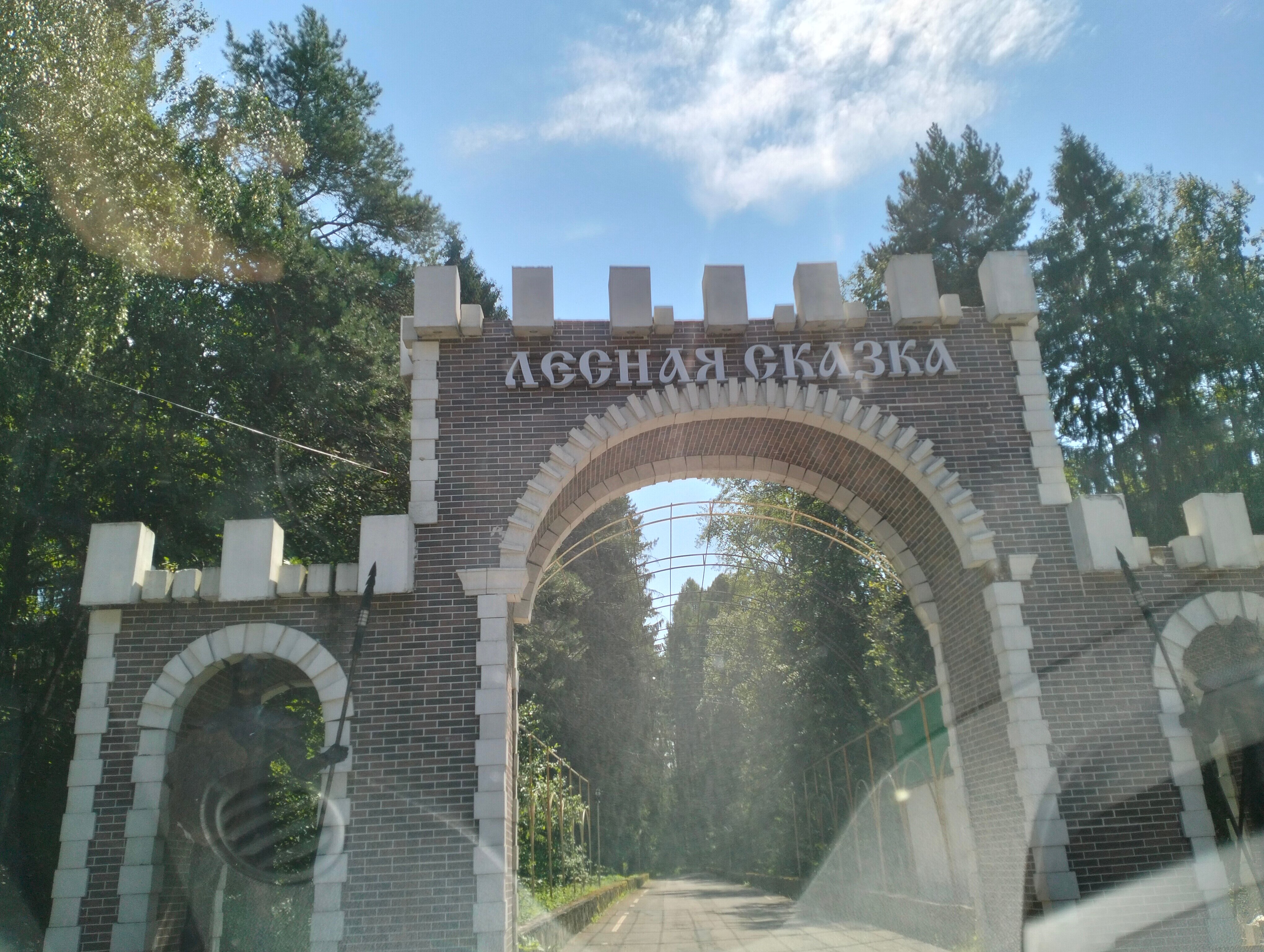 Фото Лесная сказка