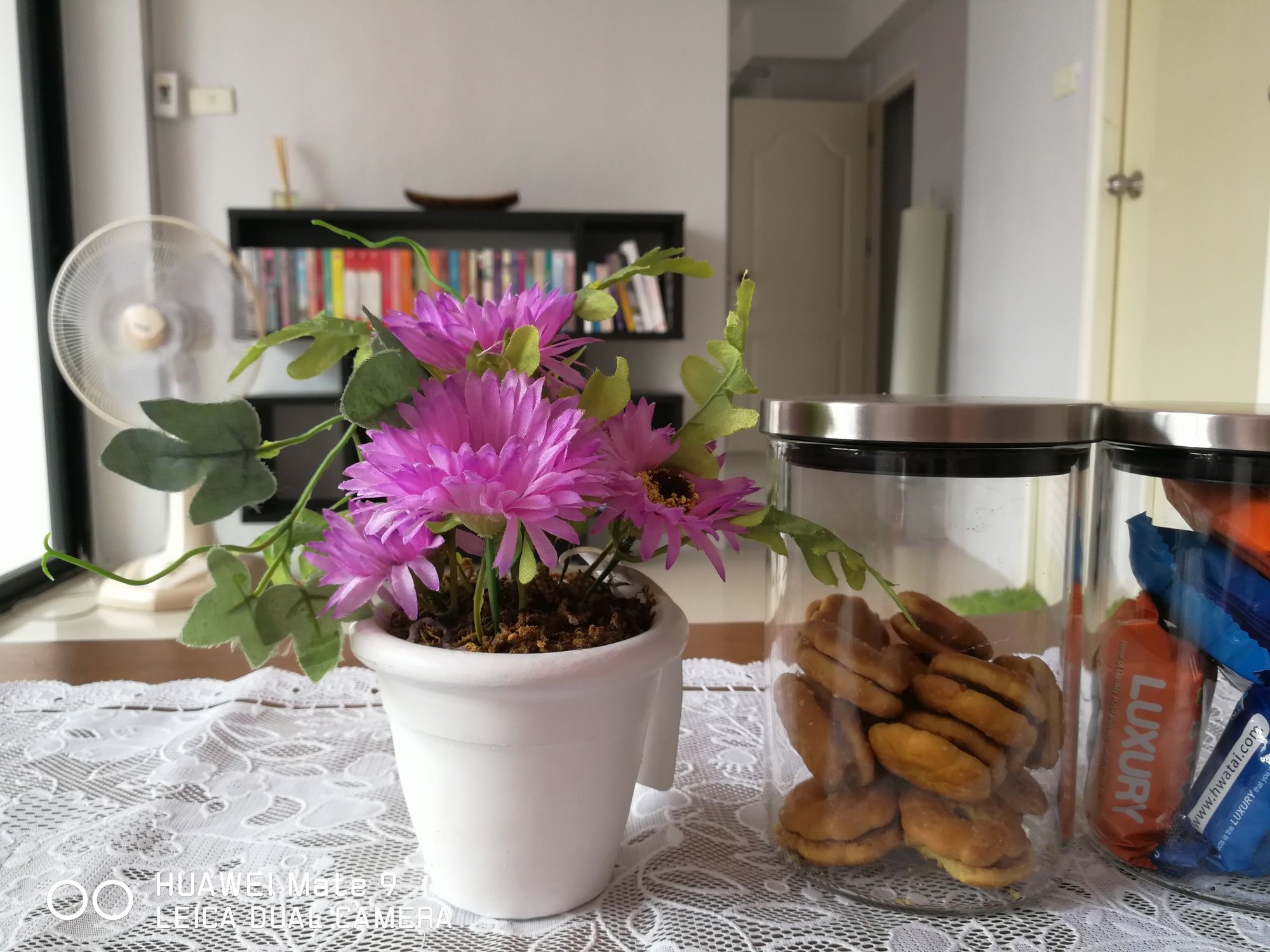 Фото Nice Nap Hostel