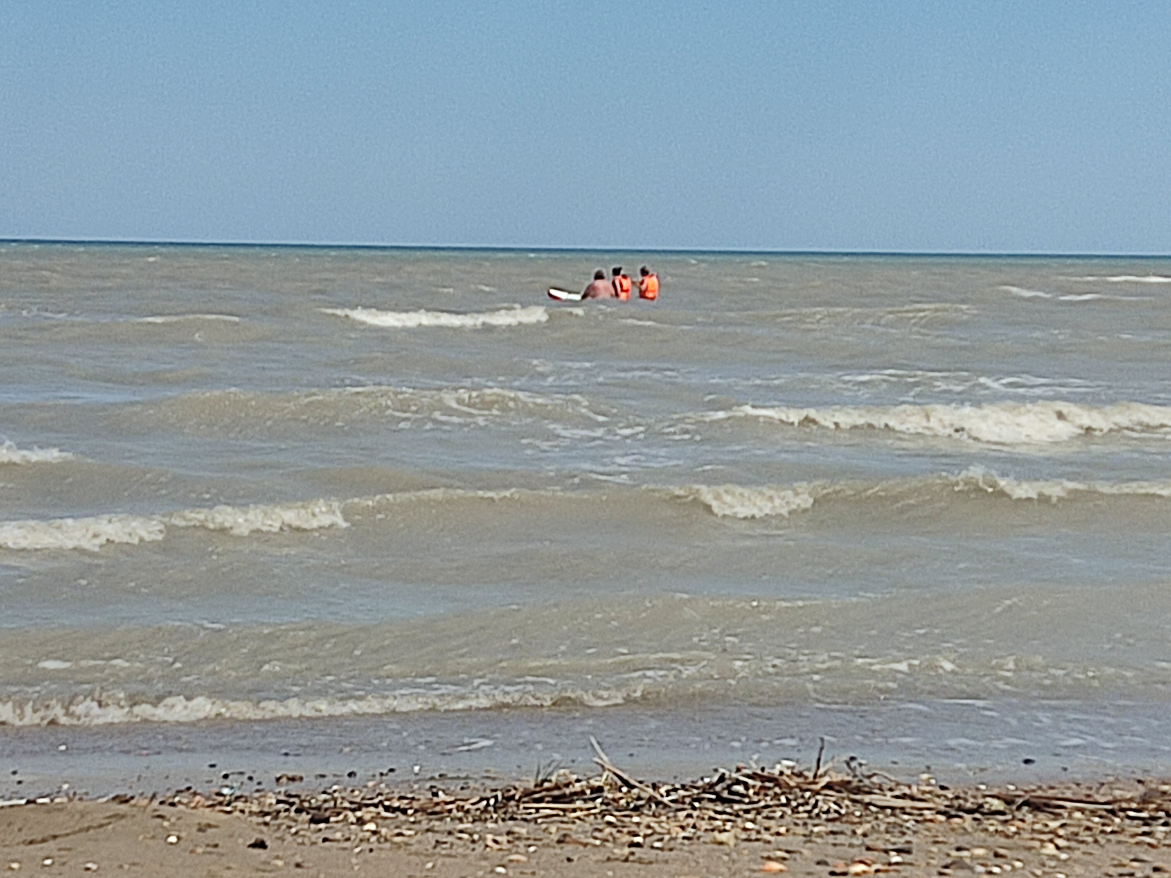 Фото Белуга