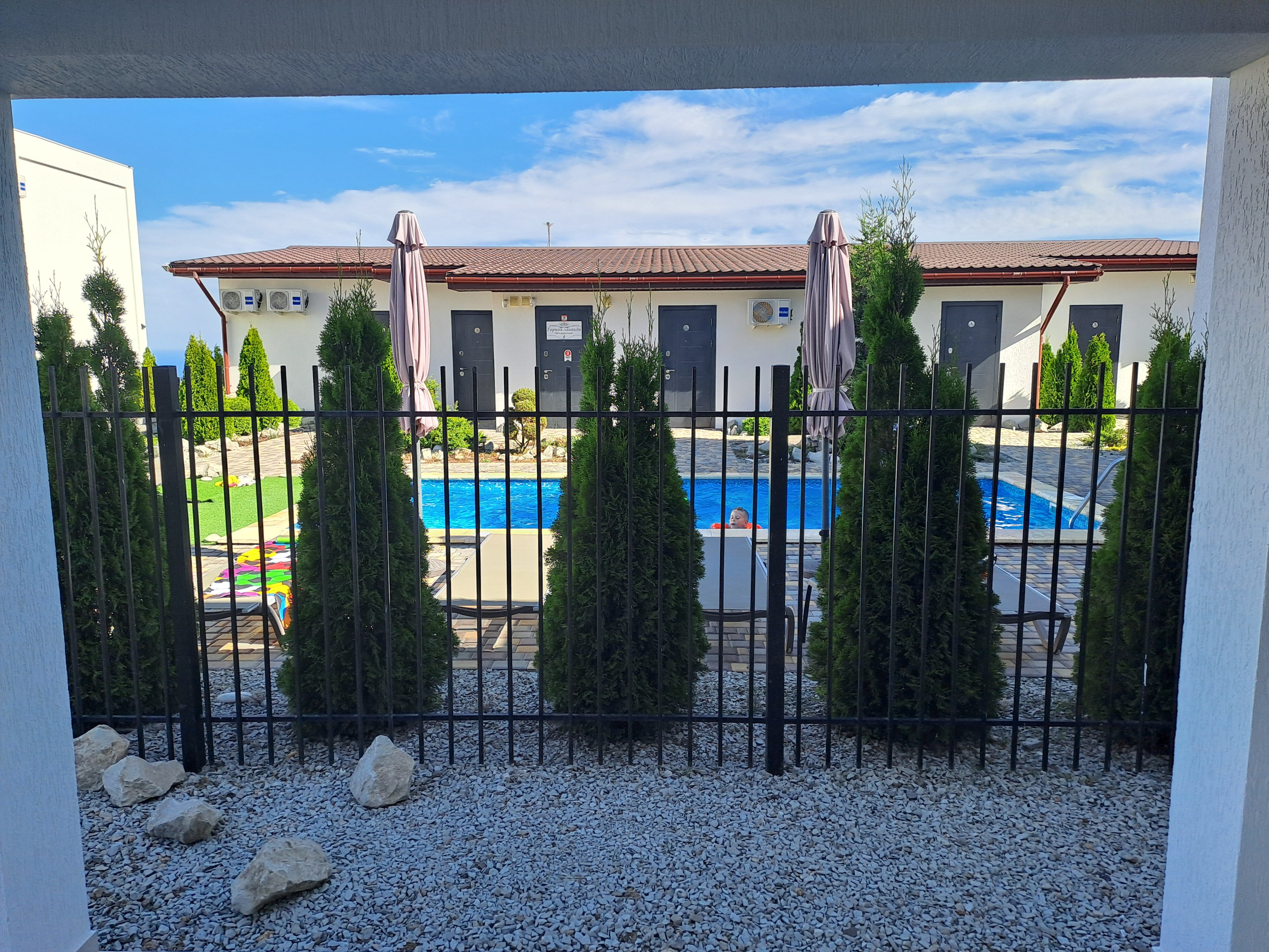 Фото Горная лаванда