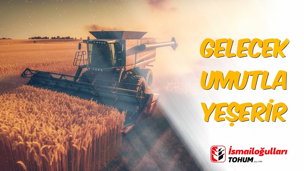 Breeding and seed production İsmailoğulları Tohum, Konya, photo