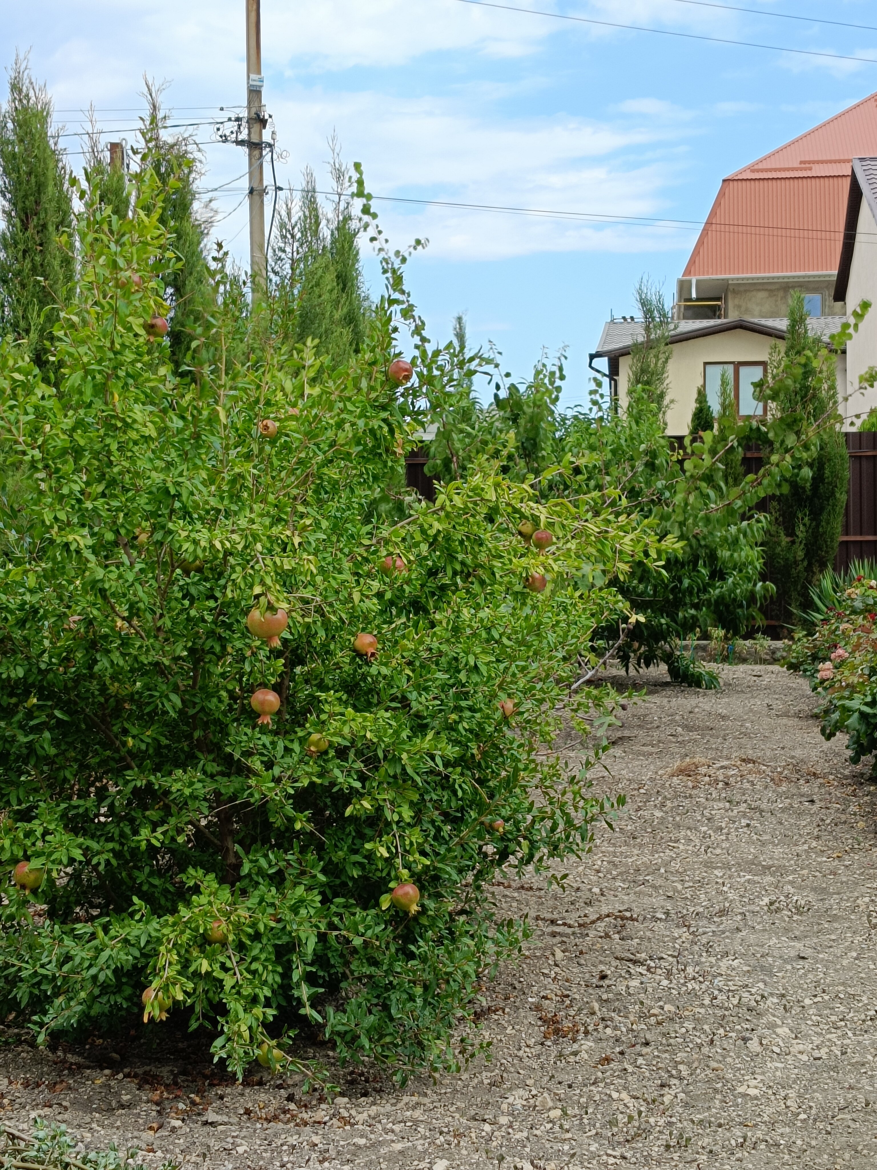 Фото Южный Дворик