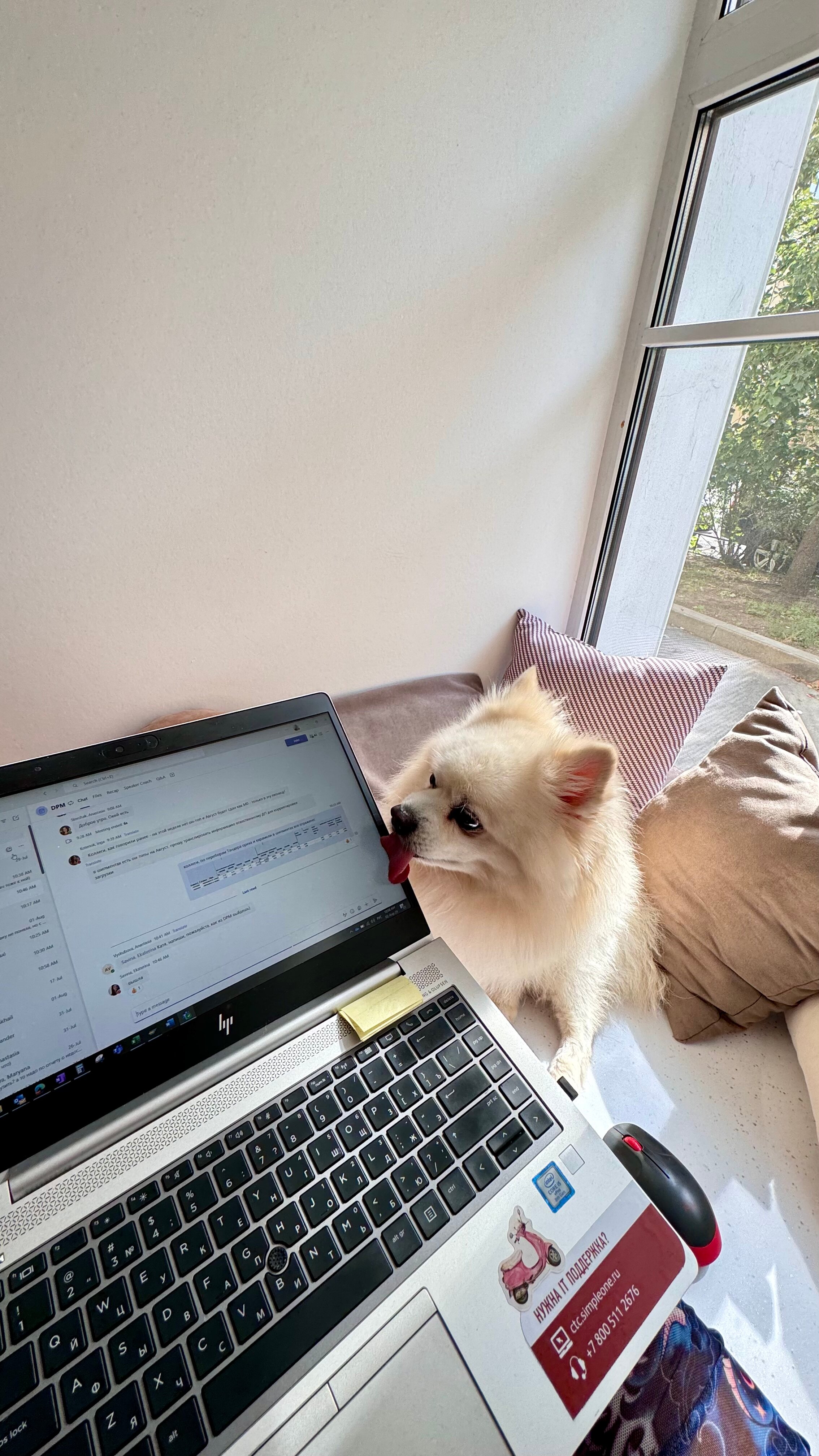 Фото Gold Inn Syncotel