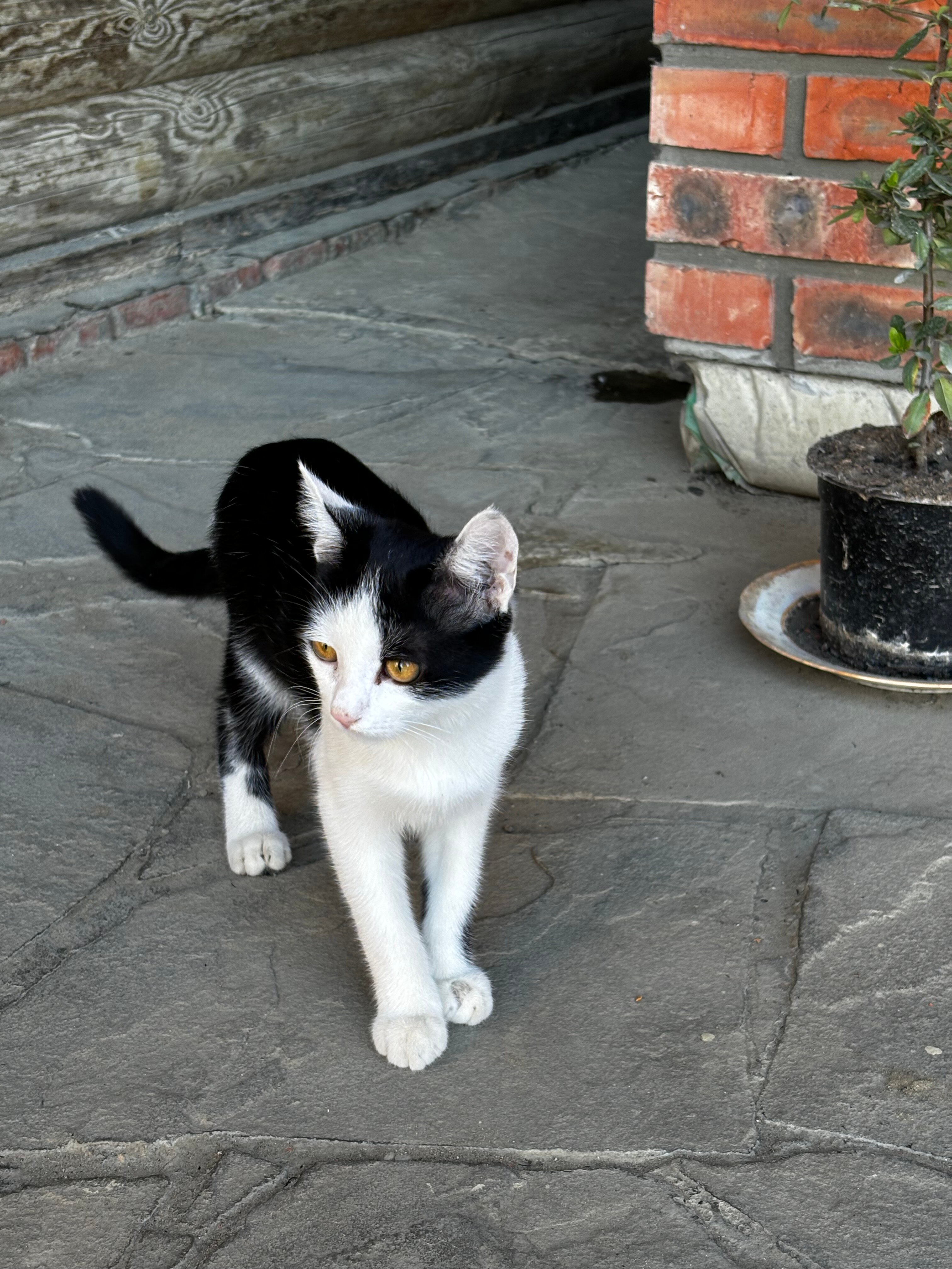 Фото Боярский двор