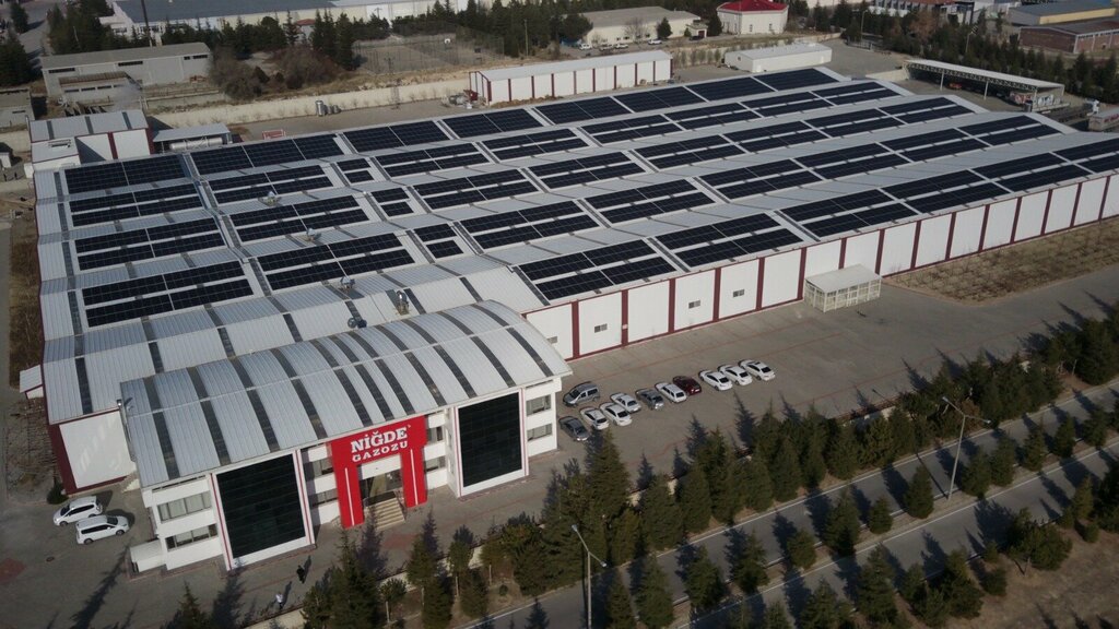 Web design studio Demir Design, Samsun, photo