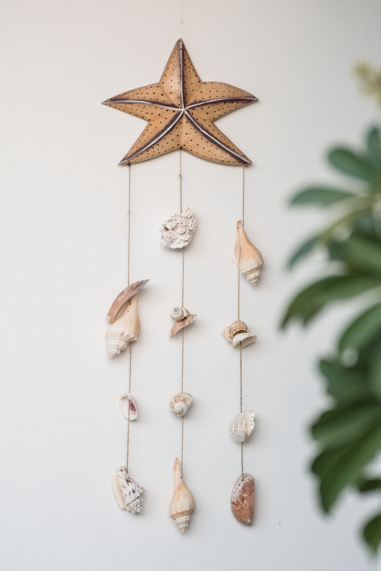 Фото Kallisti Studios