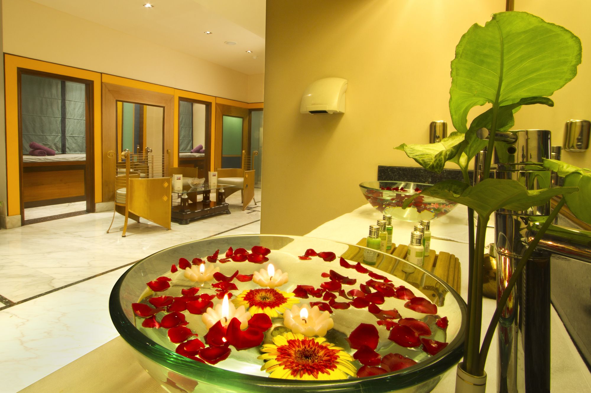 Фото The Piccadily Lucknow