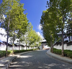 Гостиница The St. Regis Lhasa Resort