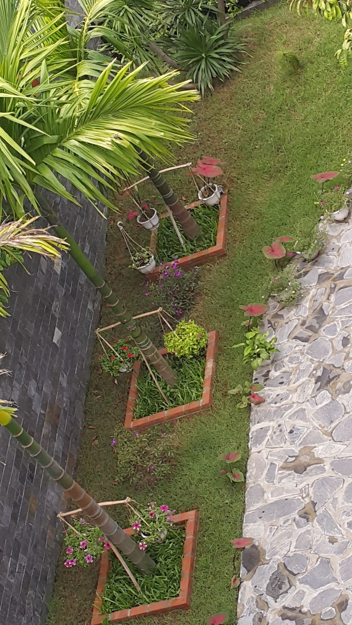 Фото Rural Scene Villa