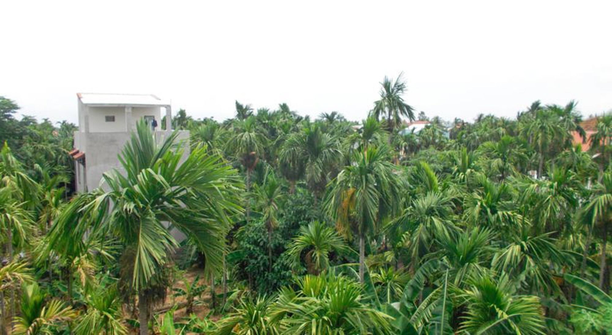 Фото Rural Scene Villa